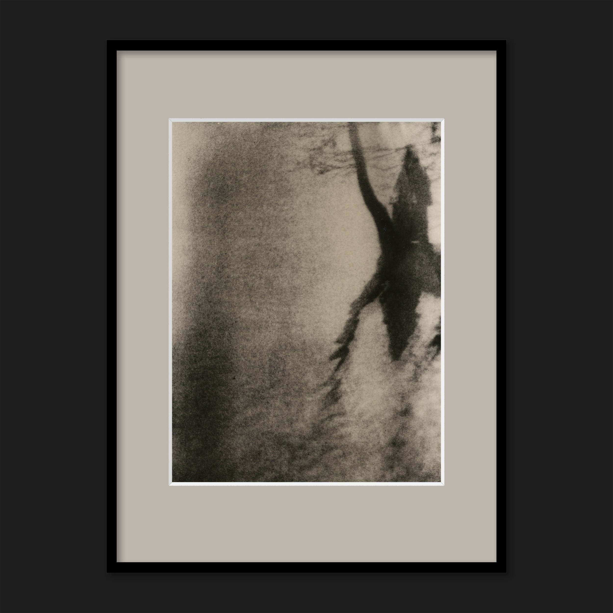 ARIADNA. Dmitry Gudimenko | Analog visual artist
