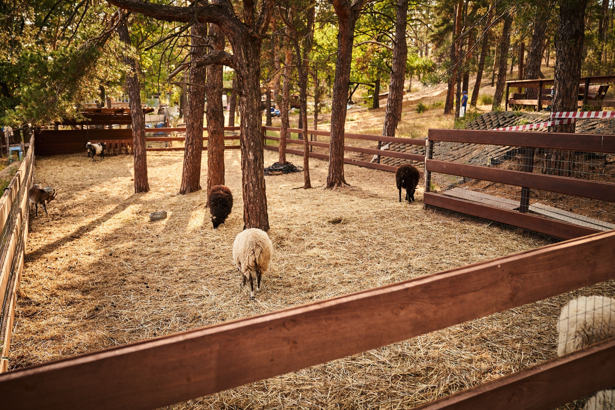 Event. Фотограф Евгений Шаров
