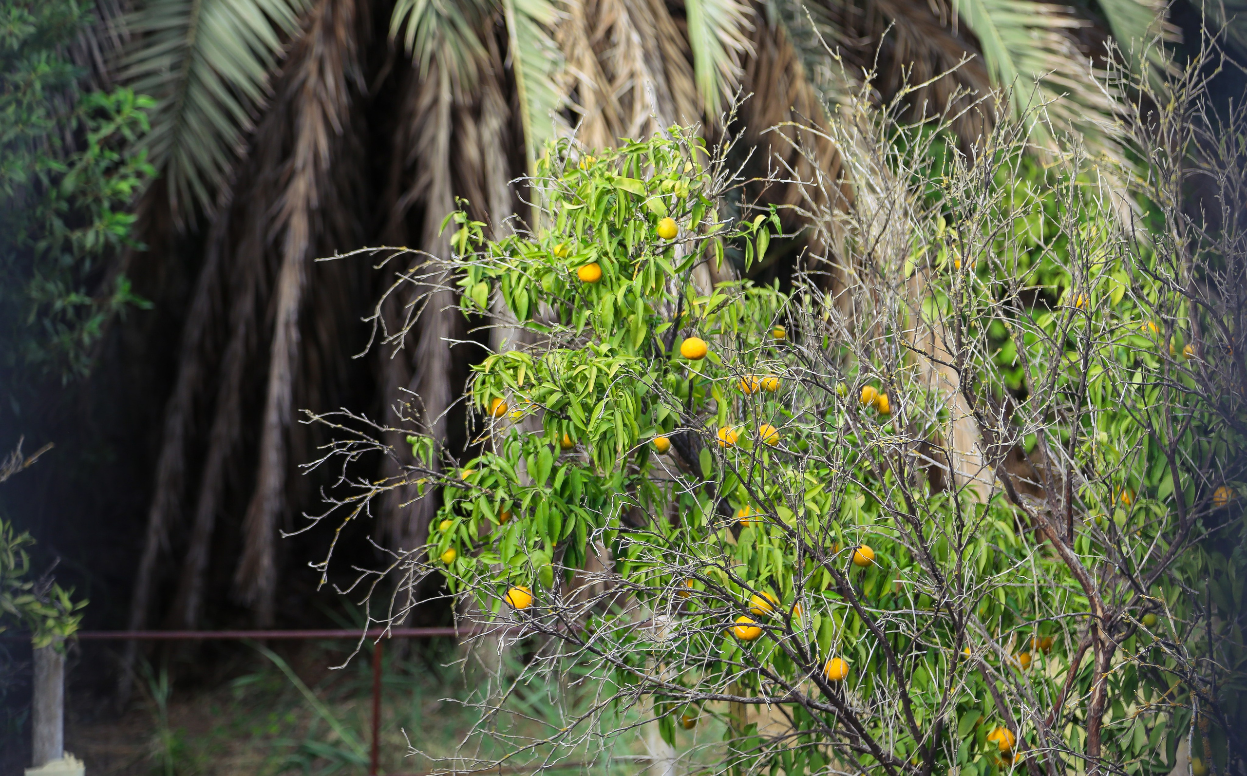 Испания: провинция Мурсия — первая встреча. Дарья Письменюк / Darya Leitstern — фотограф, музыкант, журналист, путешественник