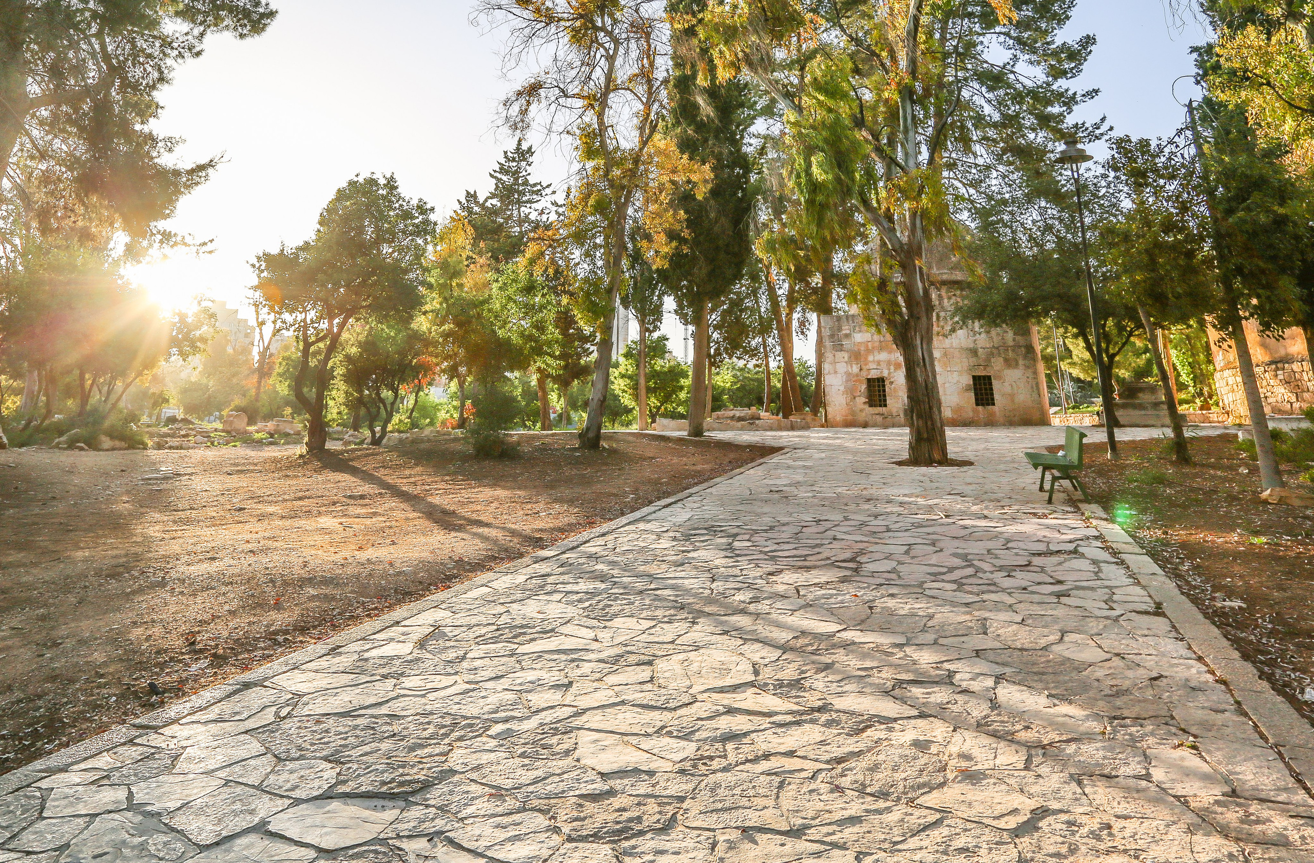 Израиль: «Под небом голубым есть город золотой…». Дарья Письменюк / Darya Leitstern — фотограф, музыкант, журналист, путешественник