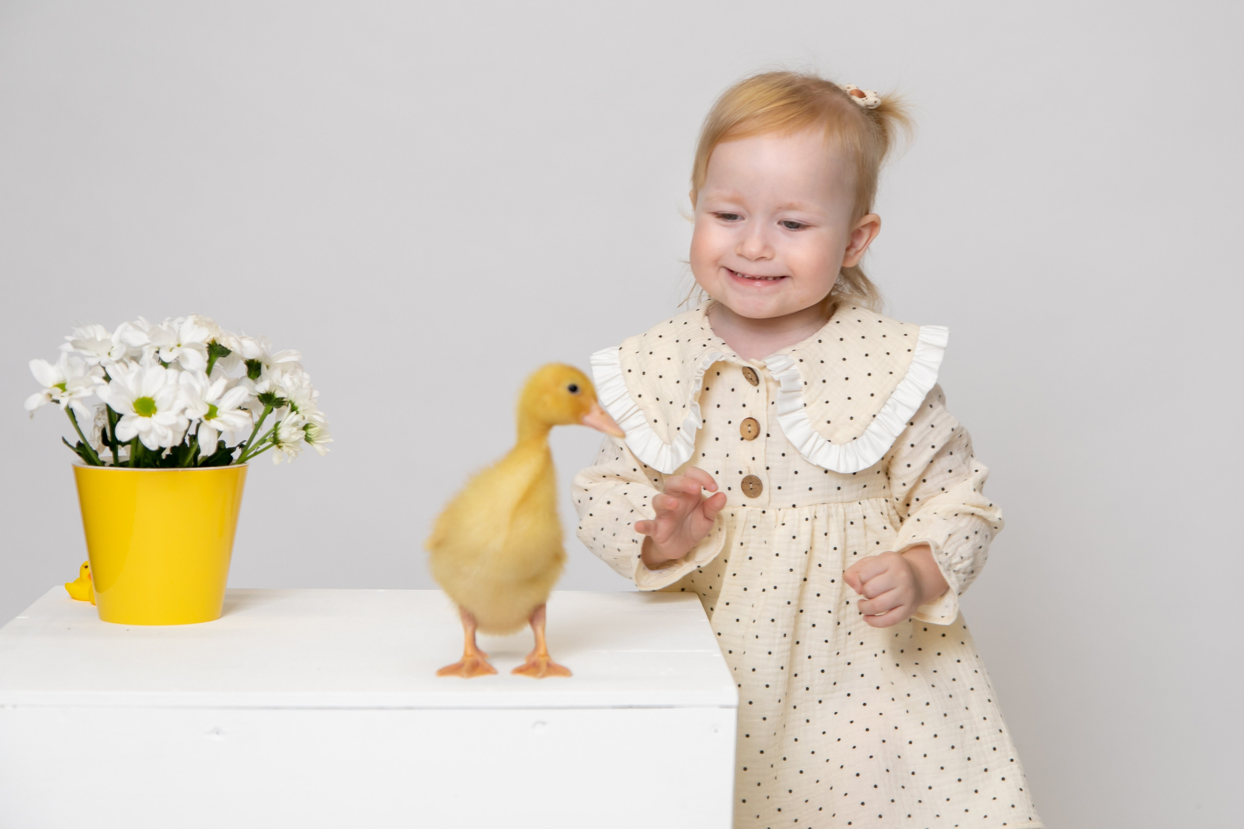 Фотосессия с живыми утятами. Надежда Рыжова, портретная и контент-съемка в Челябинске