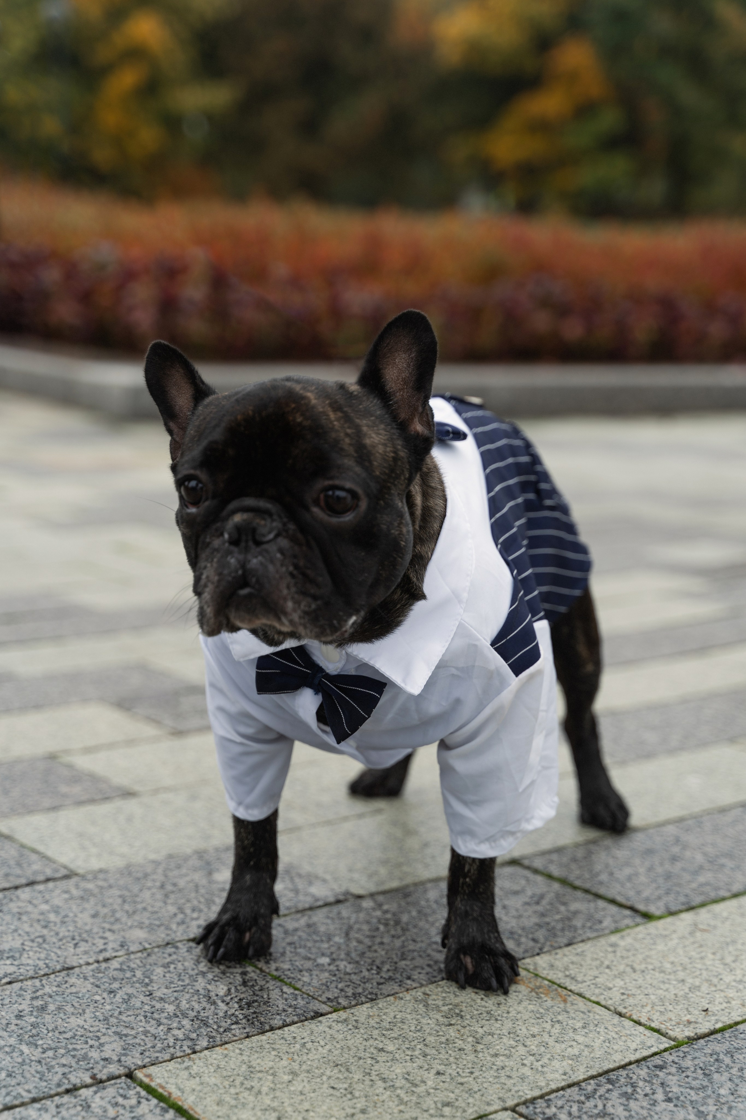 Свадебные съемки. Фотограф в Москве Анна Москаленко. Новогодние фотосъемки