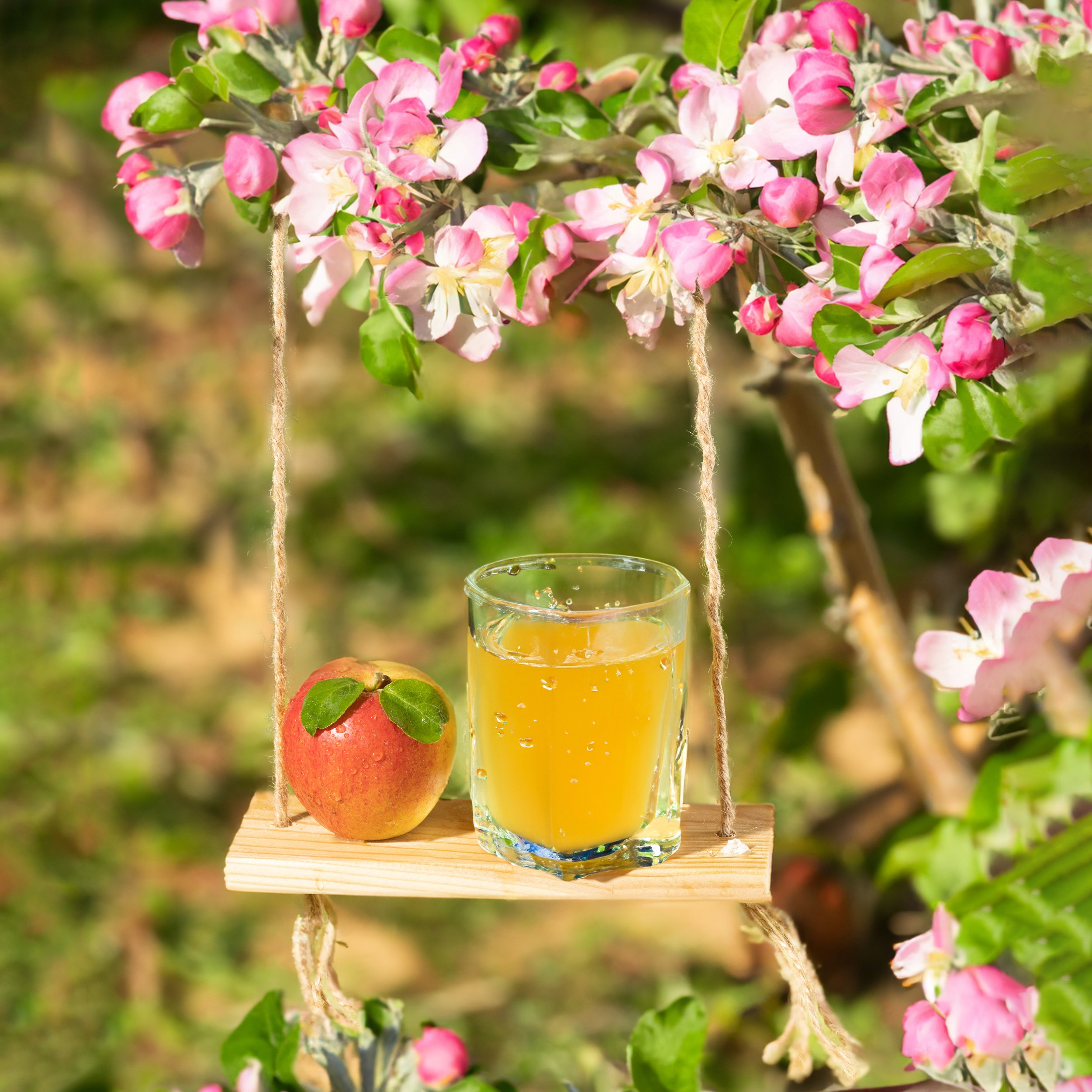 Левитация и спецэффекты. Фуд и предметный фотограф Гришина Ольга