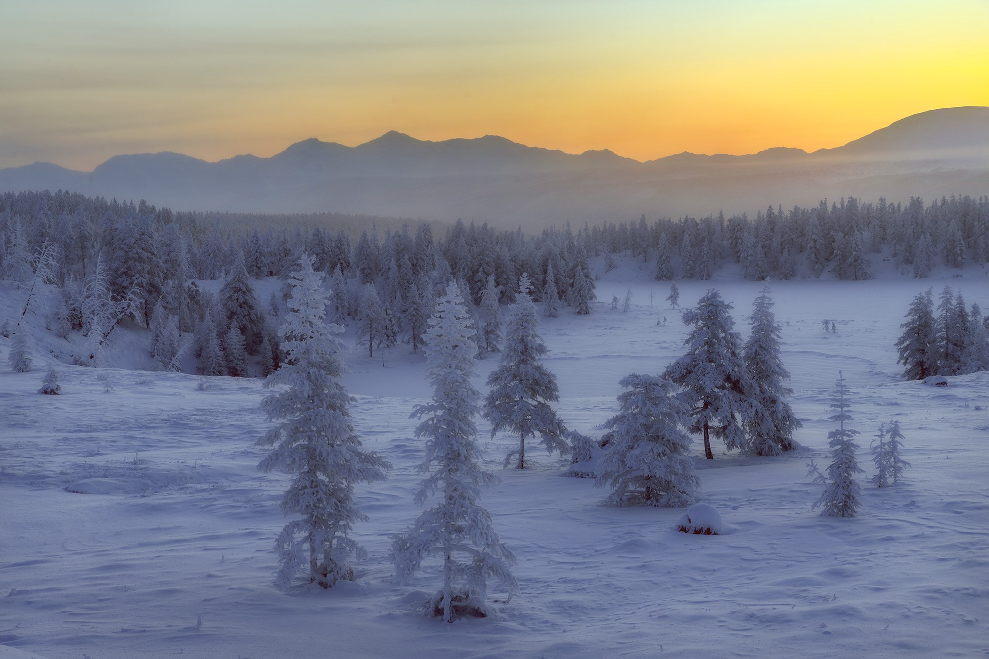 Программа зимней фотоэкспедиции в хребет Улахан-Чистай. Якутия
