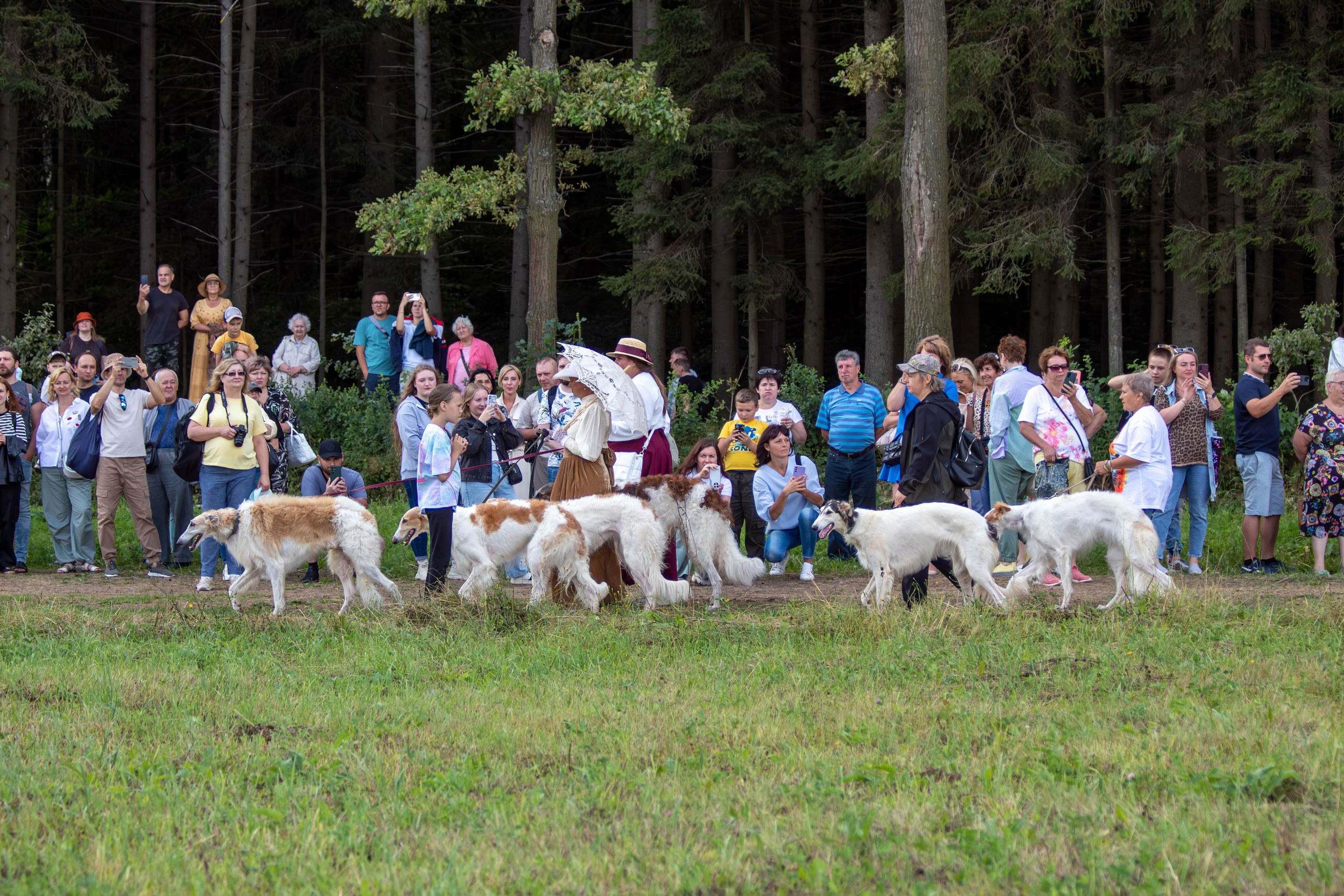 Охота как искусство Ясная поляна. Фотограф анималист — Тула, Москва