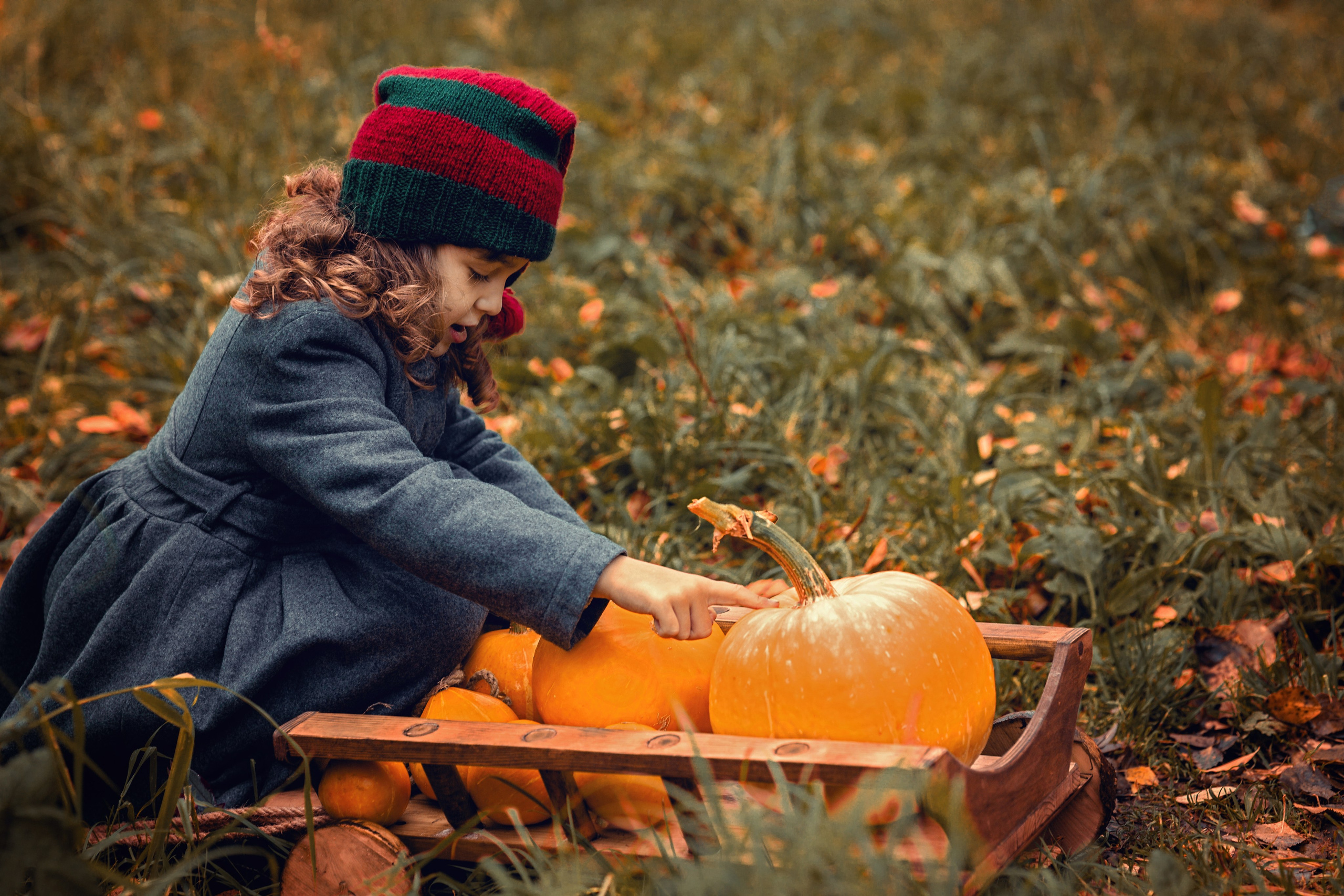 Гном. Фотограф в Петрозаводске BellaDonna