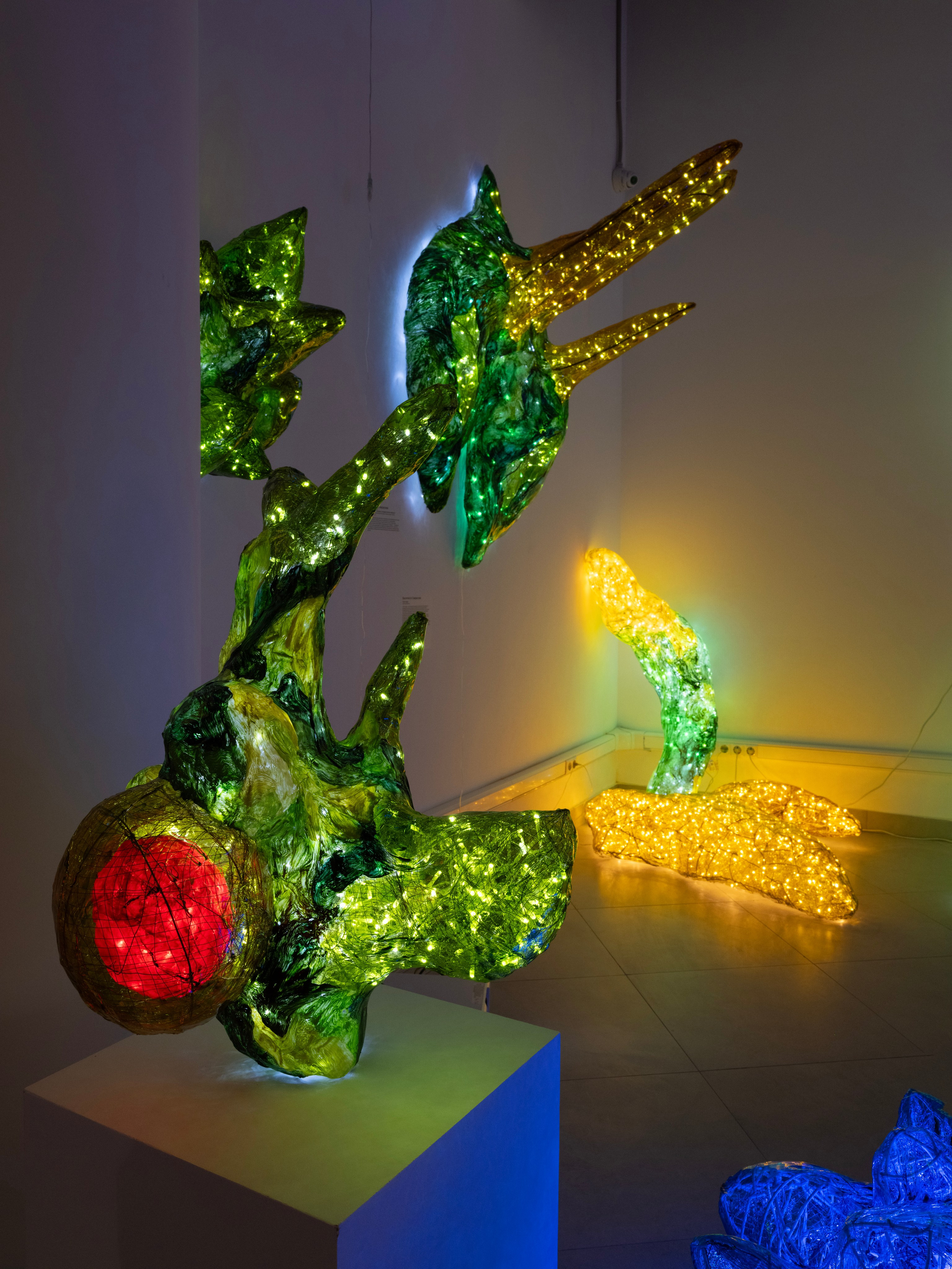 Дивный сад. Елизавета Иванова — независимый куратор, культуролог, исследователь художественных практик, художник