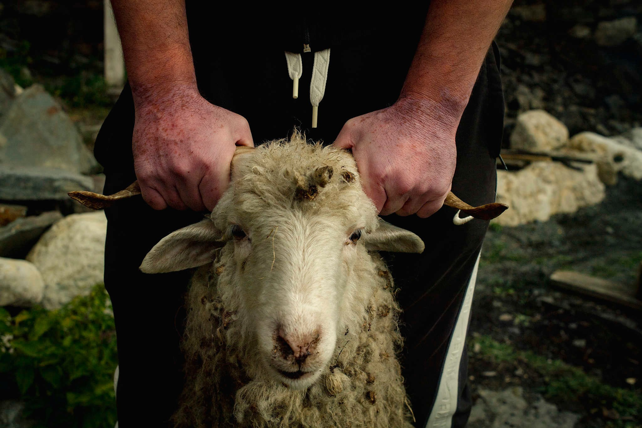Порог неба. Репортажный фотограф в Сочи — Михаил Мордасов