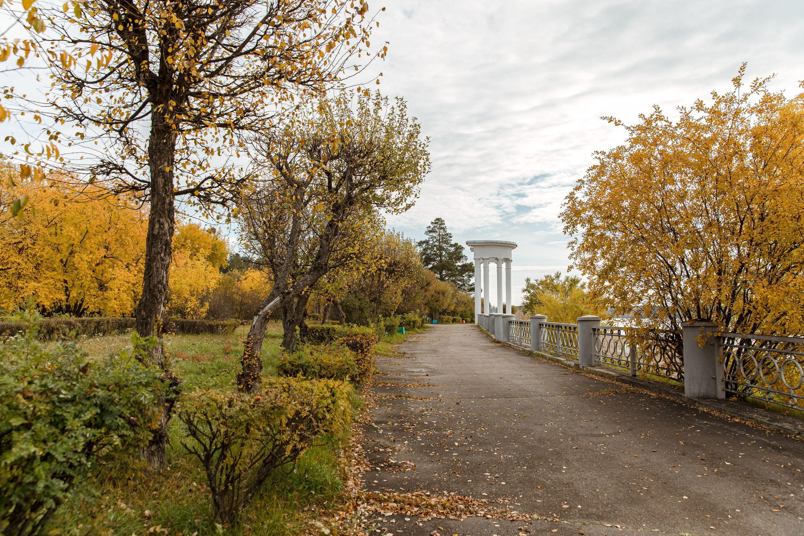 Осень в парке. Семейный и детский фотограф в Железногорске Саламахо Ольга