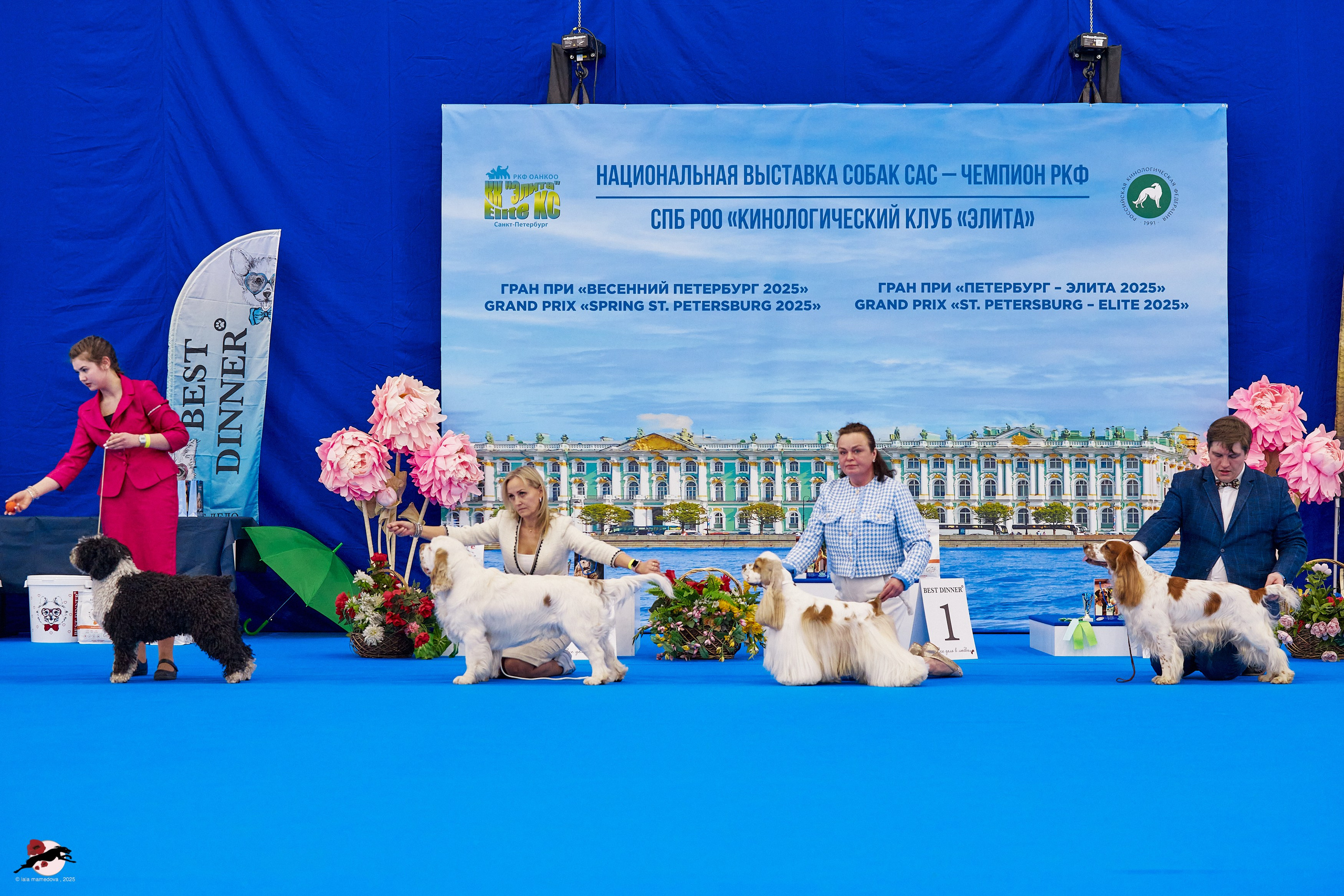 ГРАН ПРИ «ВЕСЕННИЙ ПЕТЕРБУРГ» & «СУПЕР КУБОК «ЭЛИТЫ»-2025»