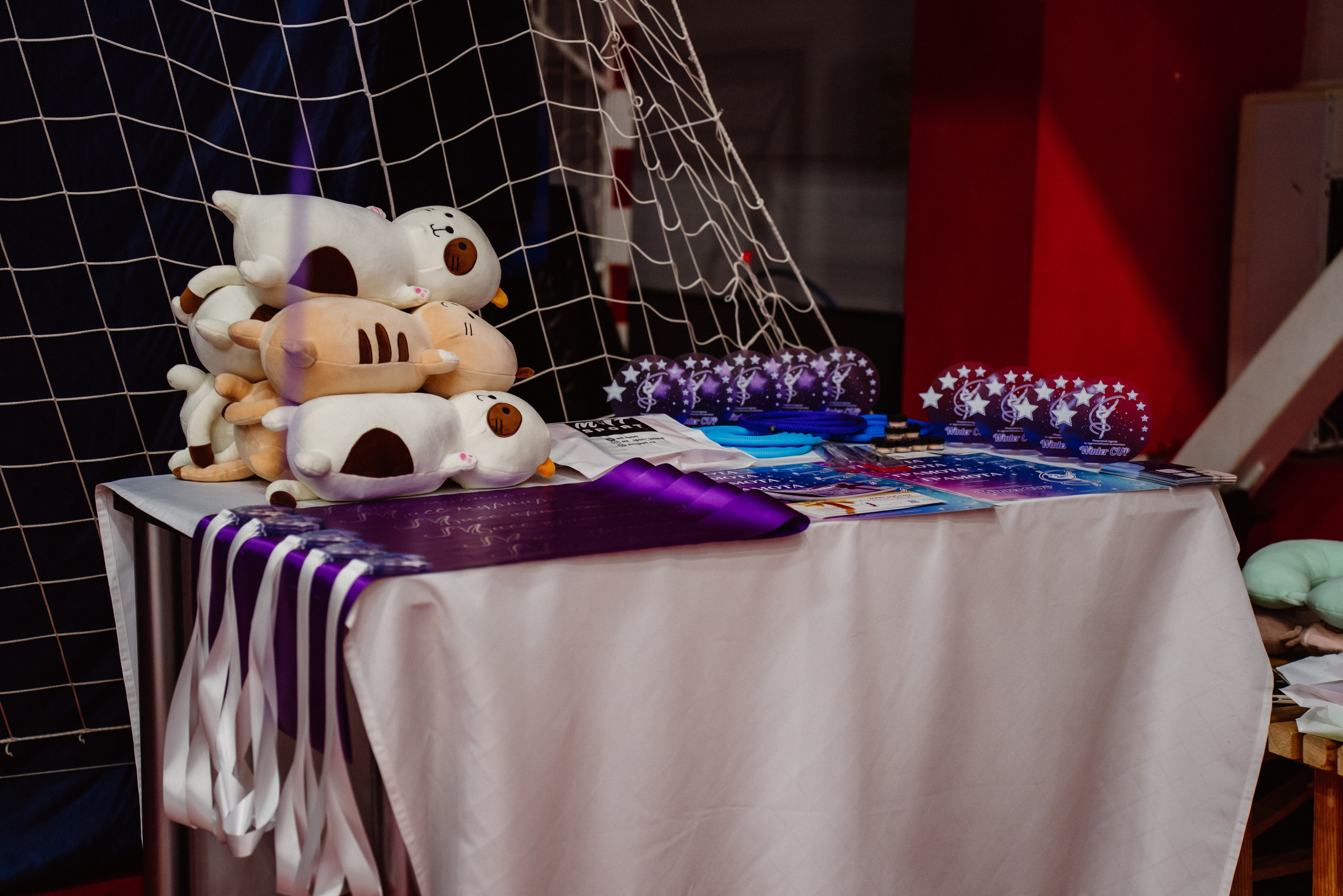 Winter Cup. Воробьева Ксения — Спортивный и танцевальный фотограф Новосибирск