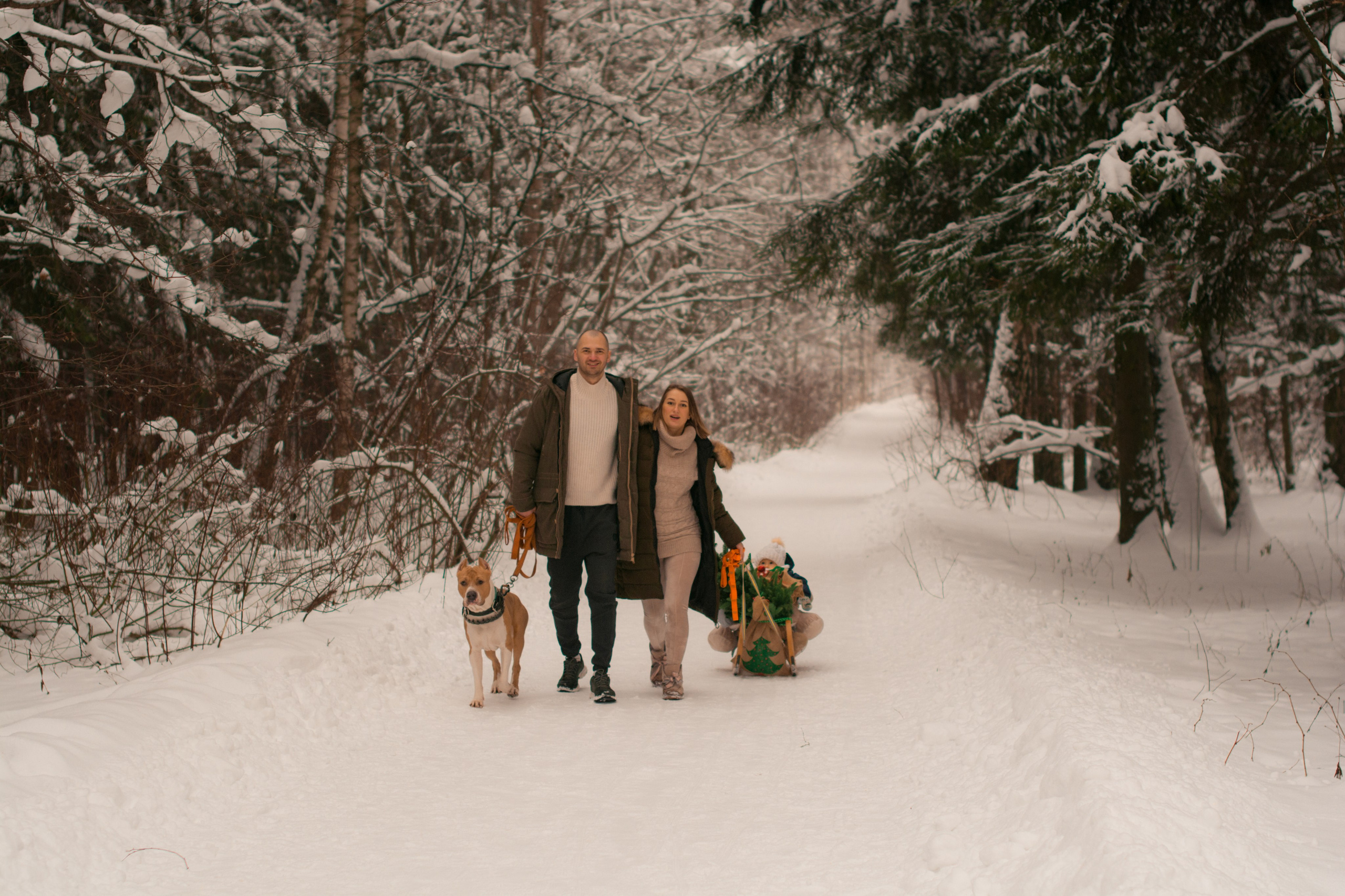 Прогулка в зимнем лесу. Парк Измайлово. Фотосессия беременности — Крылова Натали — Москва
