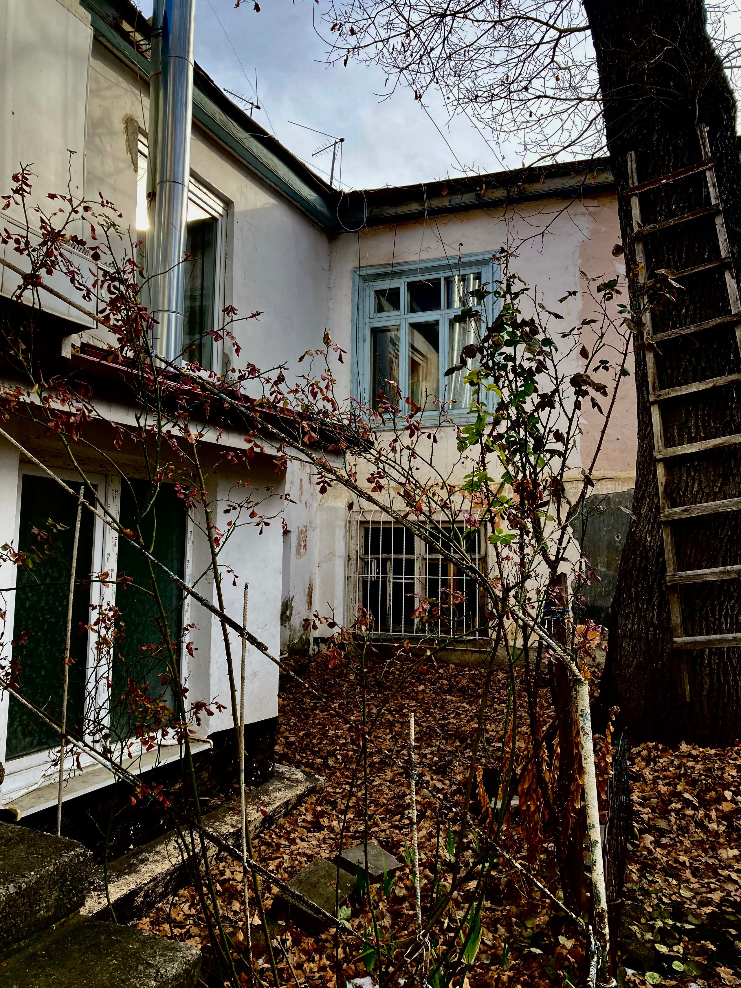 Кисловодск. Смотри, красота!