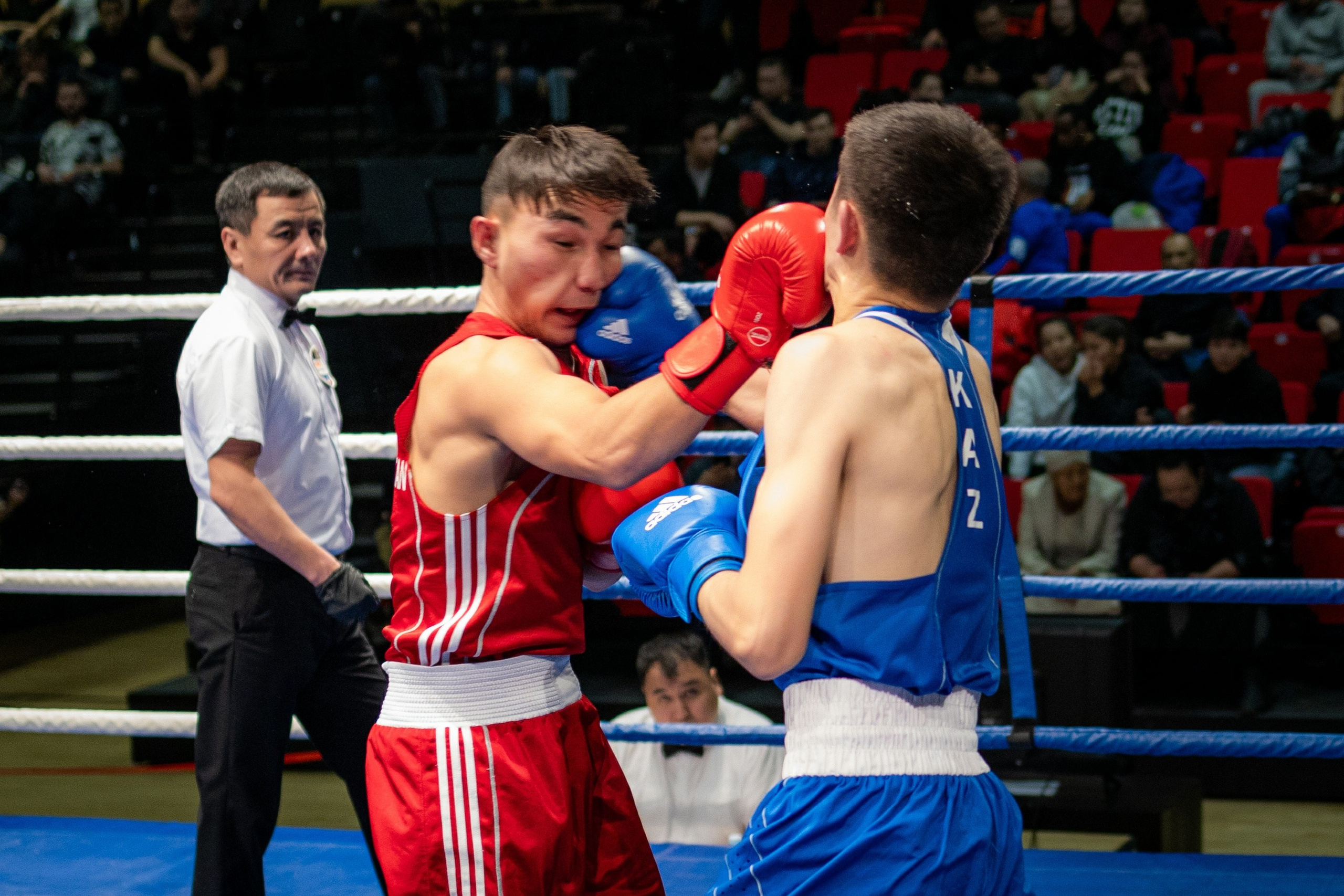 Студийный фотограф в Караганде Алексей Баранов. Фотограф Алексей Баранов. Фотостудия Flash. Семейные фотосессии в Караганде. Индивидуальные фотосессии, детские фотосессии, парные фотосессии в Караганде. Интерьерная фотосессия в Караганде. Семейный фотограф Алексей Баранов. Детский фотограф Алексей Баранов. Художественный фотограф Алексей Баранов. Свадебный фотограф Алексей Баранов. Черно-Белая съемка в Караганде. Самые лучшие семейный и детские фотосессии в Караганде. Контент Съемка в Караганде. SMM в Караганде. Контент фотограф Алексей Баранов. Фотограф Караганда. Фотограф. Предметный фотограф Алексей Баранов. спортивный фотограф. спорт. mma. бокс. спорт в Казахстане. фото спорта. соревнования. спортивный фотограф Алексей Баранов