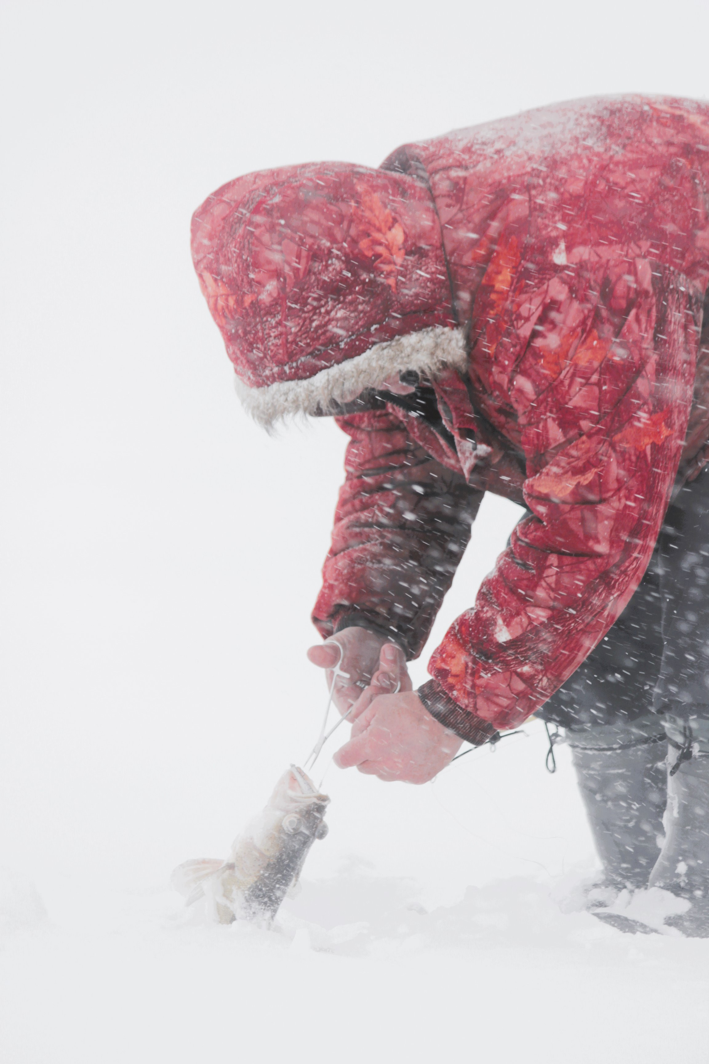 РЫБАК РЫБАКА, открытие нашей выставки фотографии и фотоколлажа в Доме Кино. Фотокрыжовник. Снимаем, дружим, путешествуем