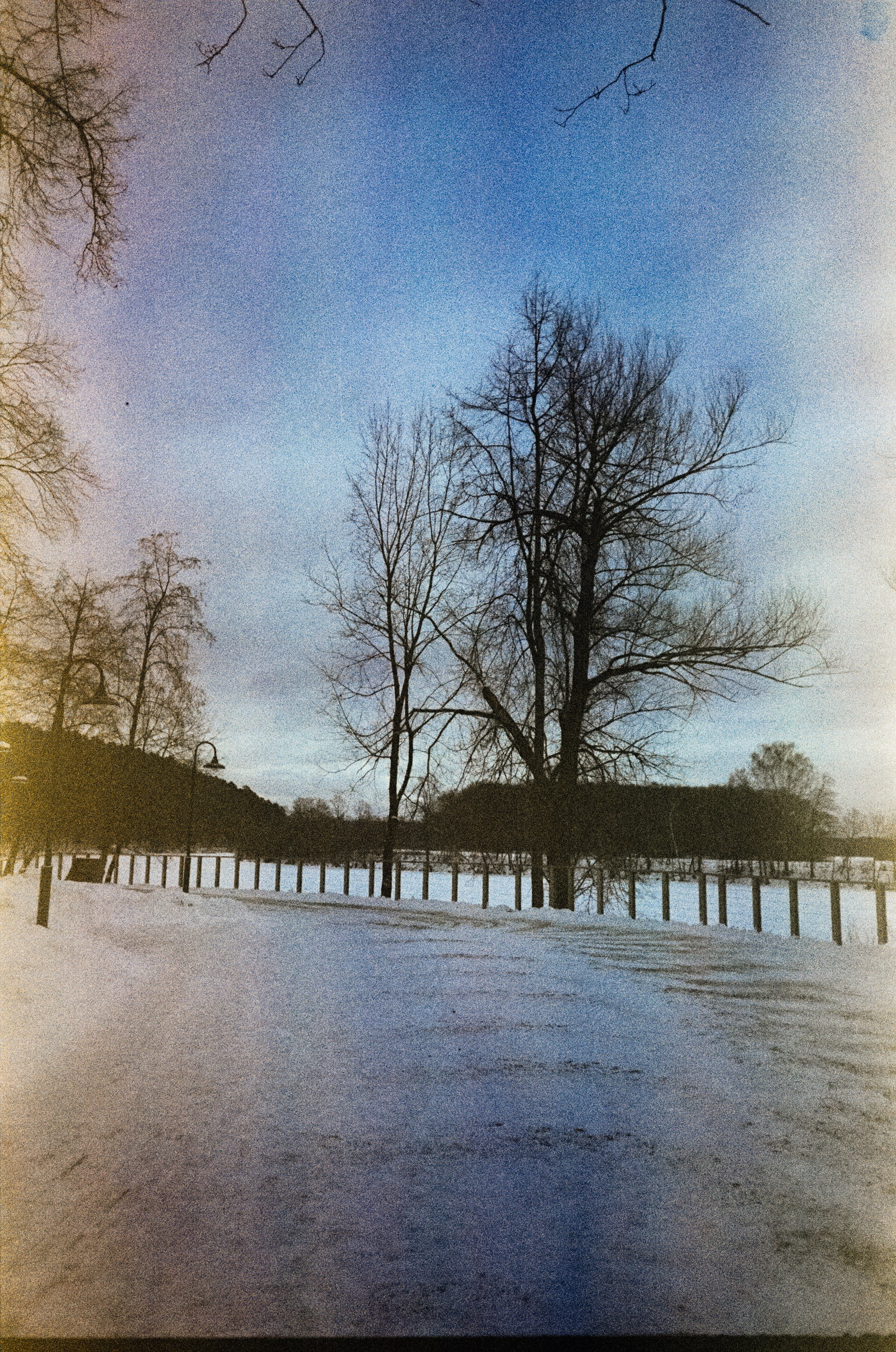 Fujicolor Superia 200 (просрочка) / Cosina CX-1 / 6 января 2025 года Усадьба Архангельское