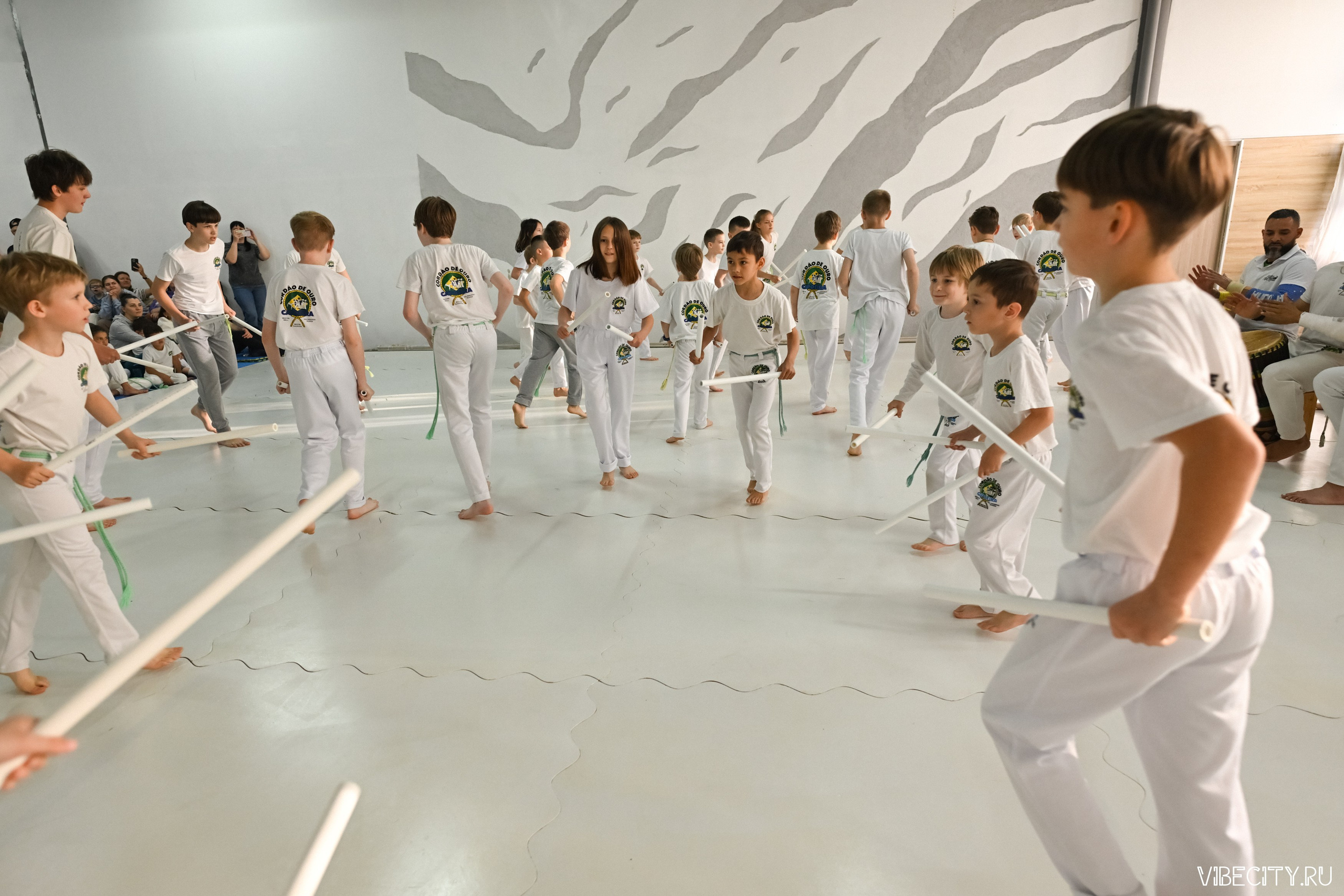 Capoeira: 4-е batizado e Troca de cordao. VIBECITY.RU Вайб Сити Ру Фоторепортажи Фотоотчеты Калининград