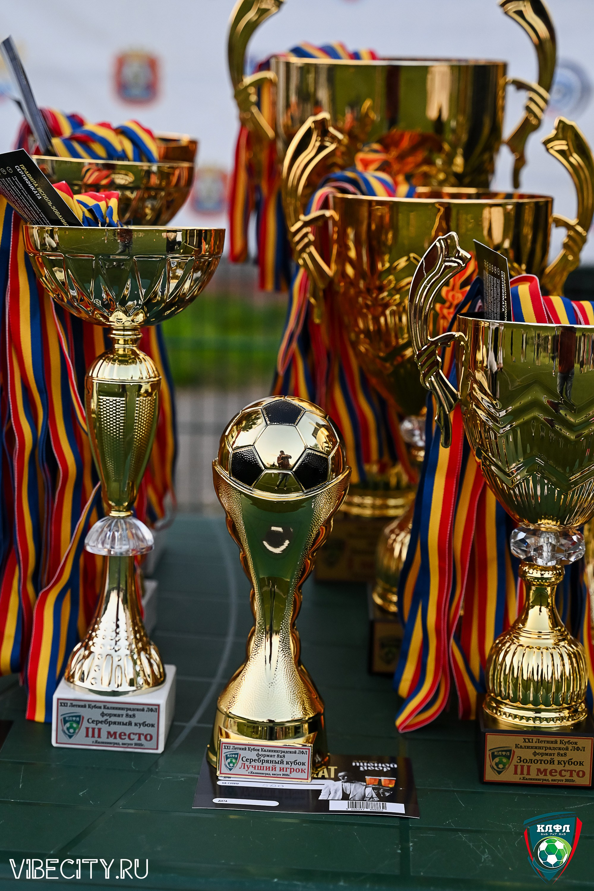 ПЛЕЙ-ОФФ XXl ЛЕТНЕГО КУБКА КАЛИНИНГРАДСКОЙ ЛФЛ. VIBECITY.RU Вайб Сити Ру Фоторепортажи Фотоотчеты Калининград