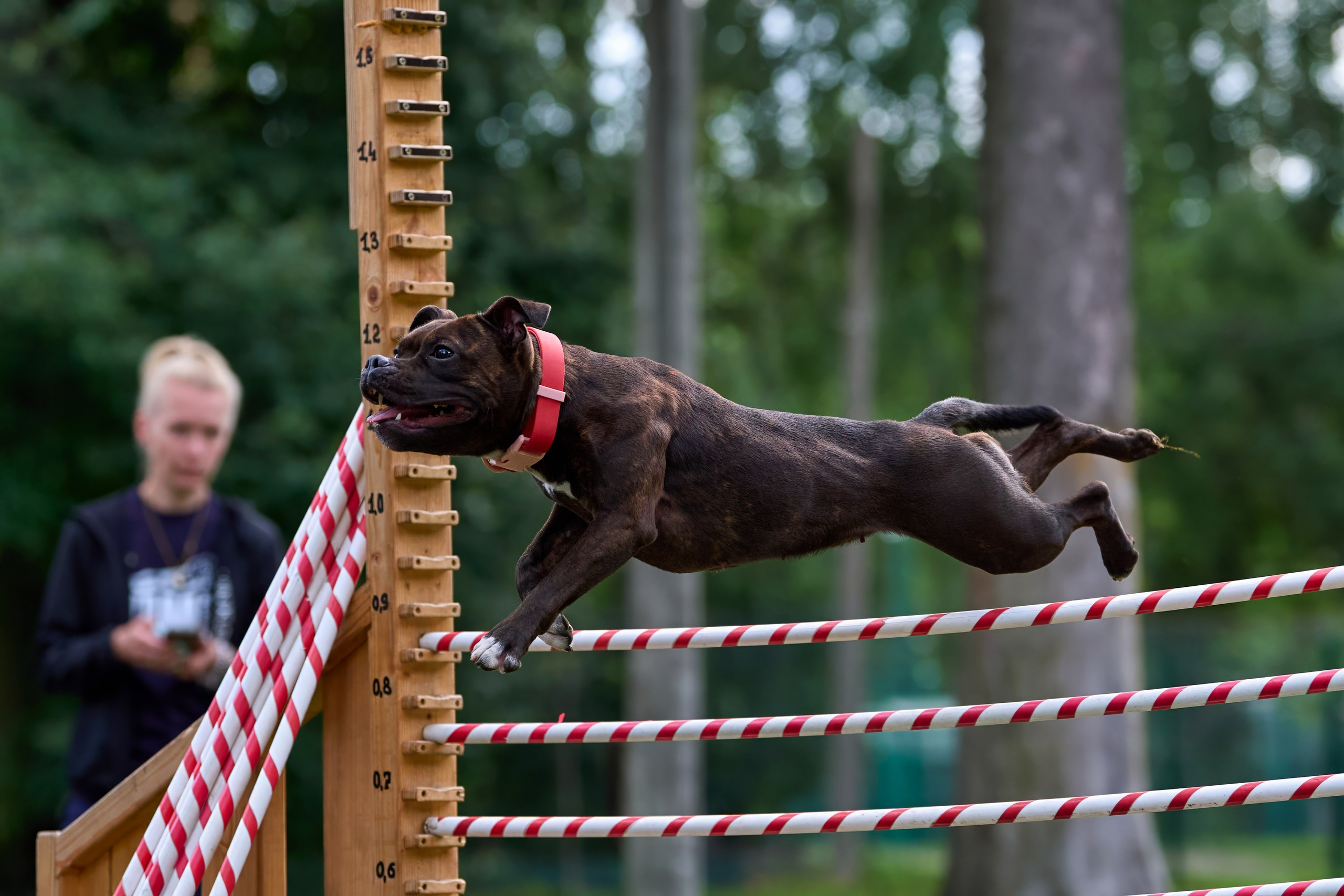 Jump'n'Gym JUMP! — 2024. Фотограф-анималист Михаил Манухин