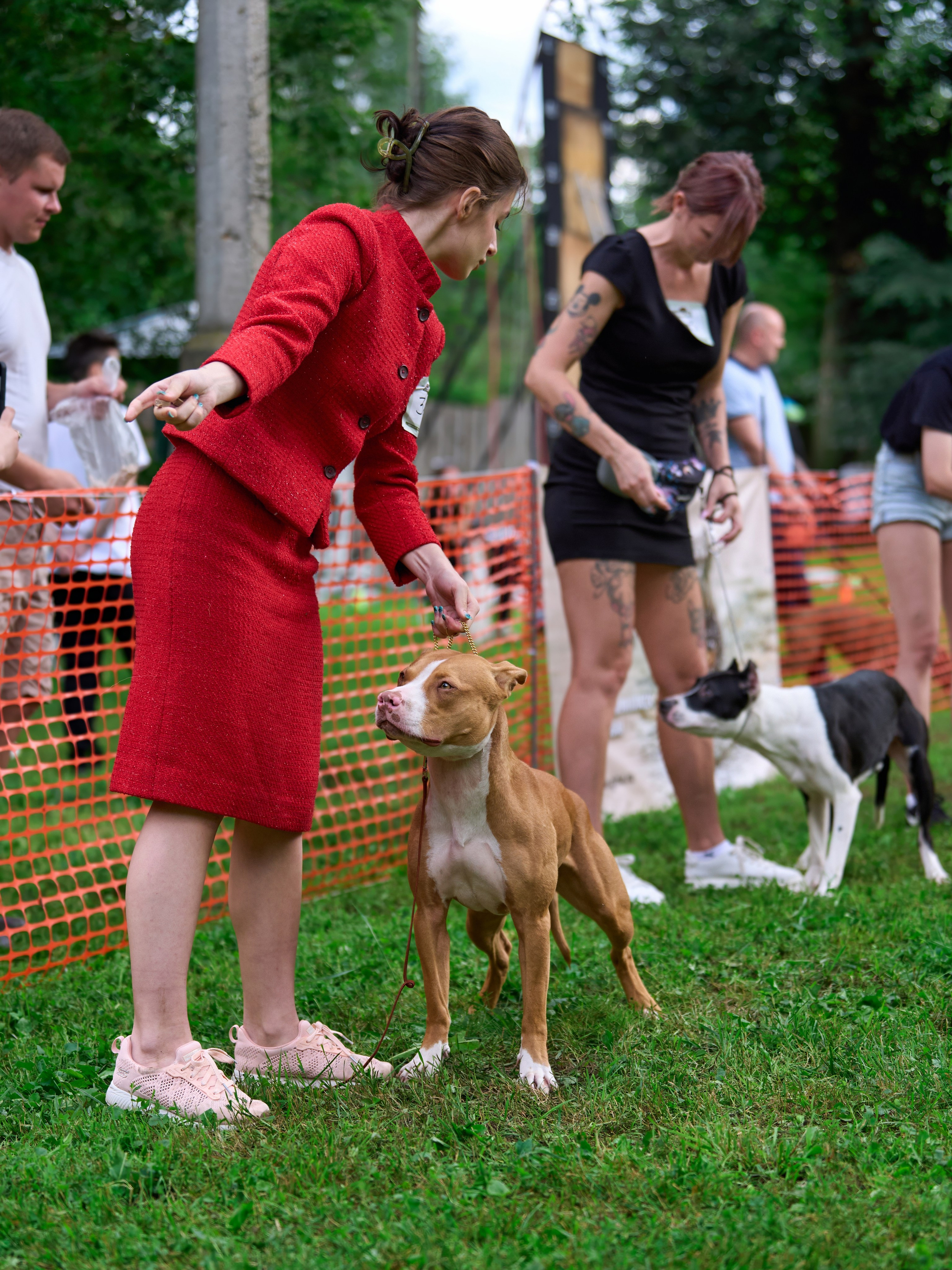 Золотой Кубок — 2024. Фотограф-анималист Михаил Манухин
