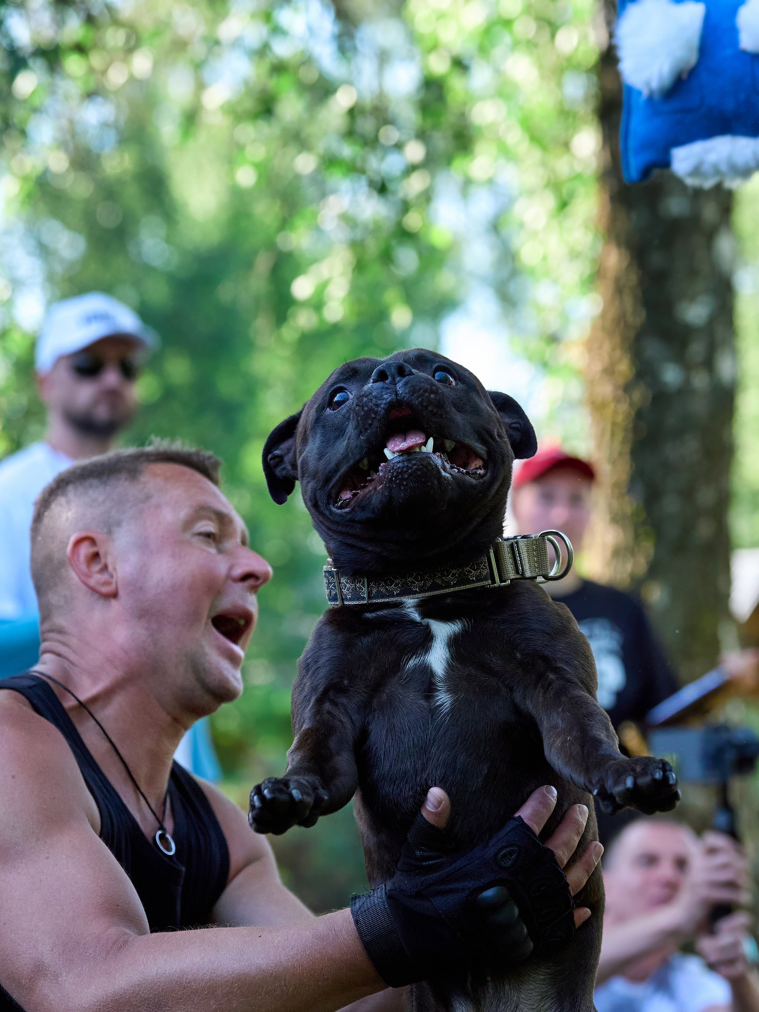 Двухдневные соревнования «Jump'n'Gym Fest — 2024». Фотограф-анималист Михаил Манухин