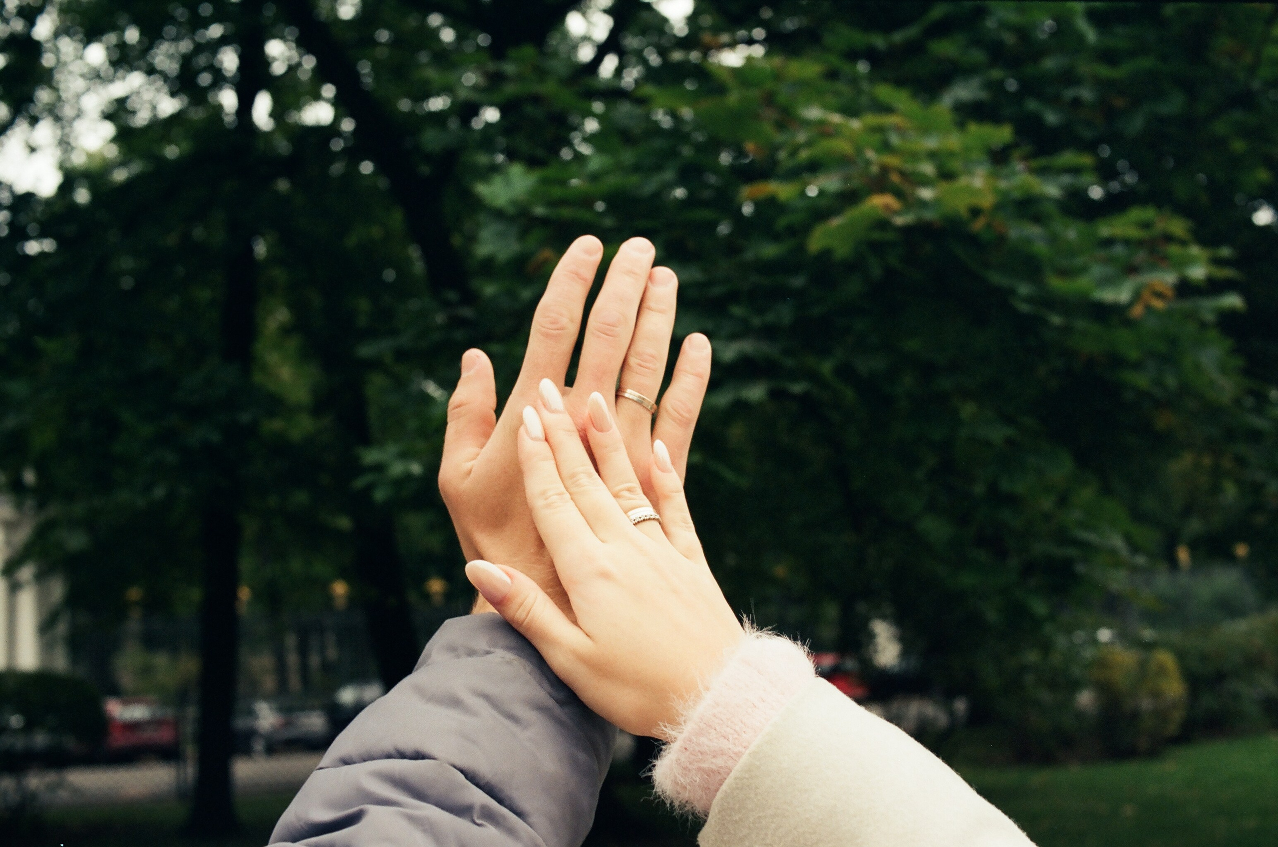 Пленочная фотография