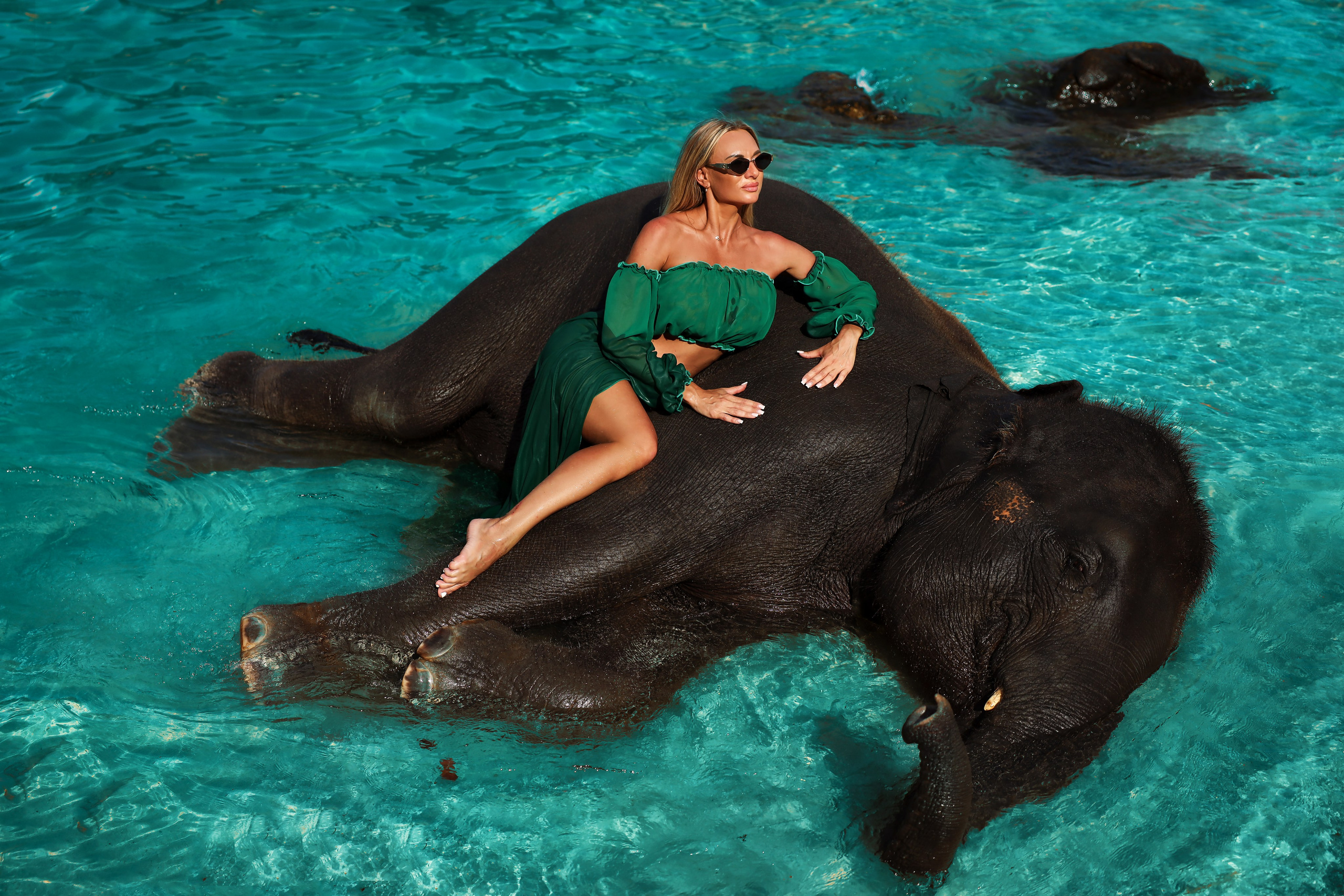 Фотосессия со слонами на Пхукете. Фотограф на Пхукете в Таиланде