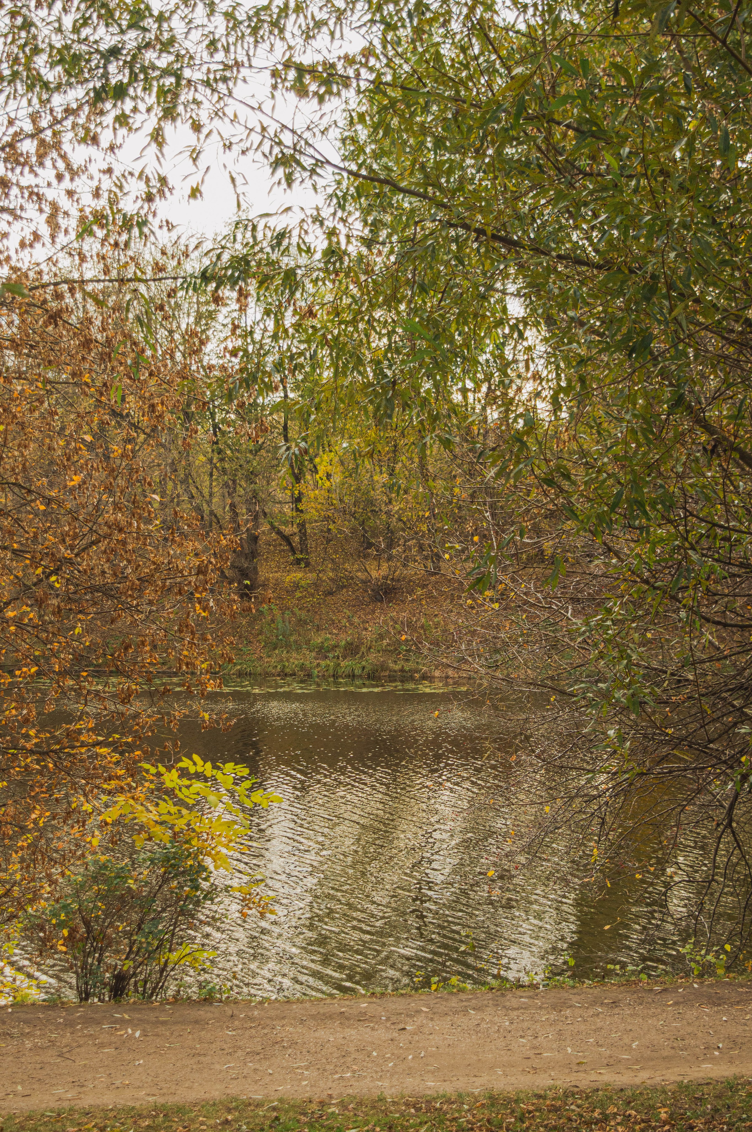 Октябрь в городе. Фотограф Анастасия Лощакова в Москве
