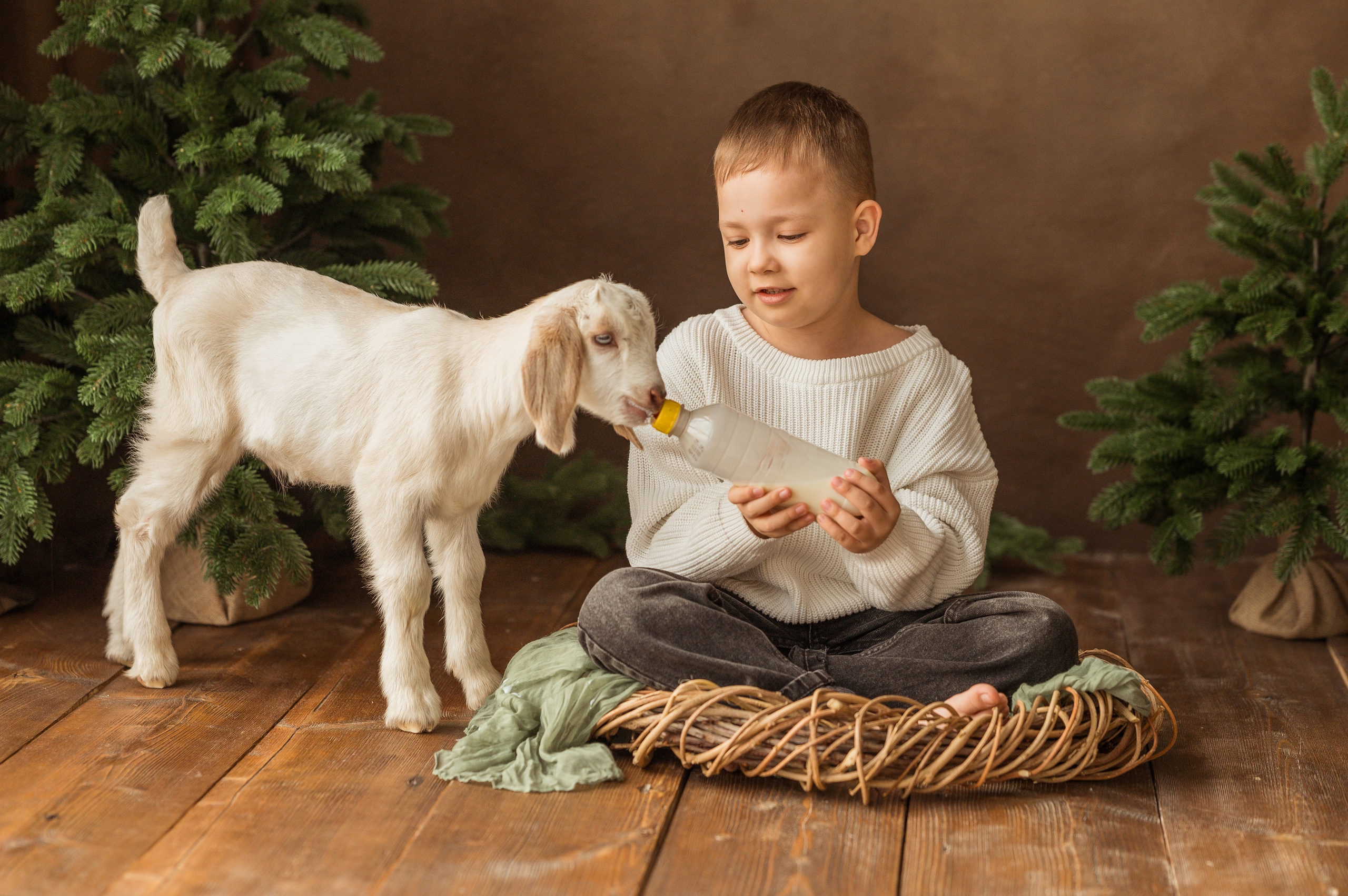 Данечка, Артем и козлик. Детский и семейный фотограф Ирина Гладких
