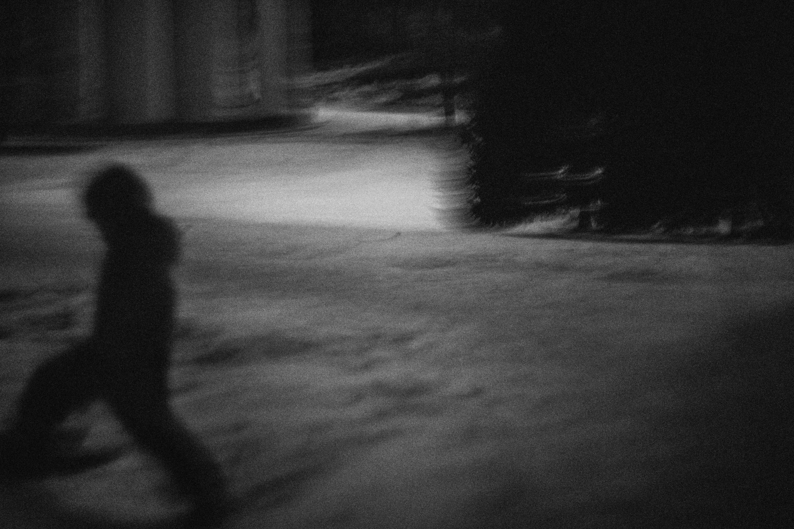 Movement as a myth. Alla Remizova, photographer