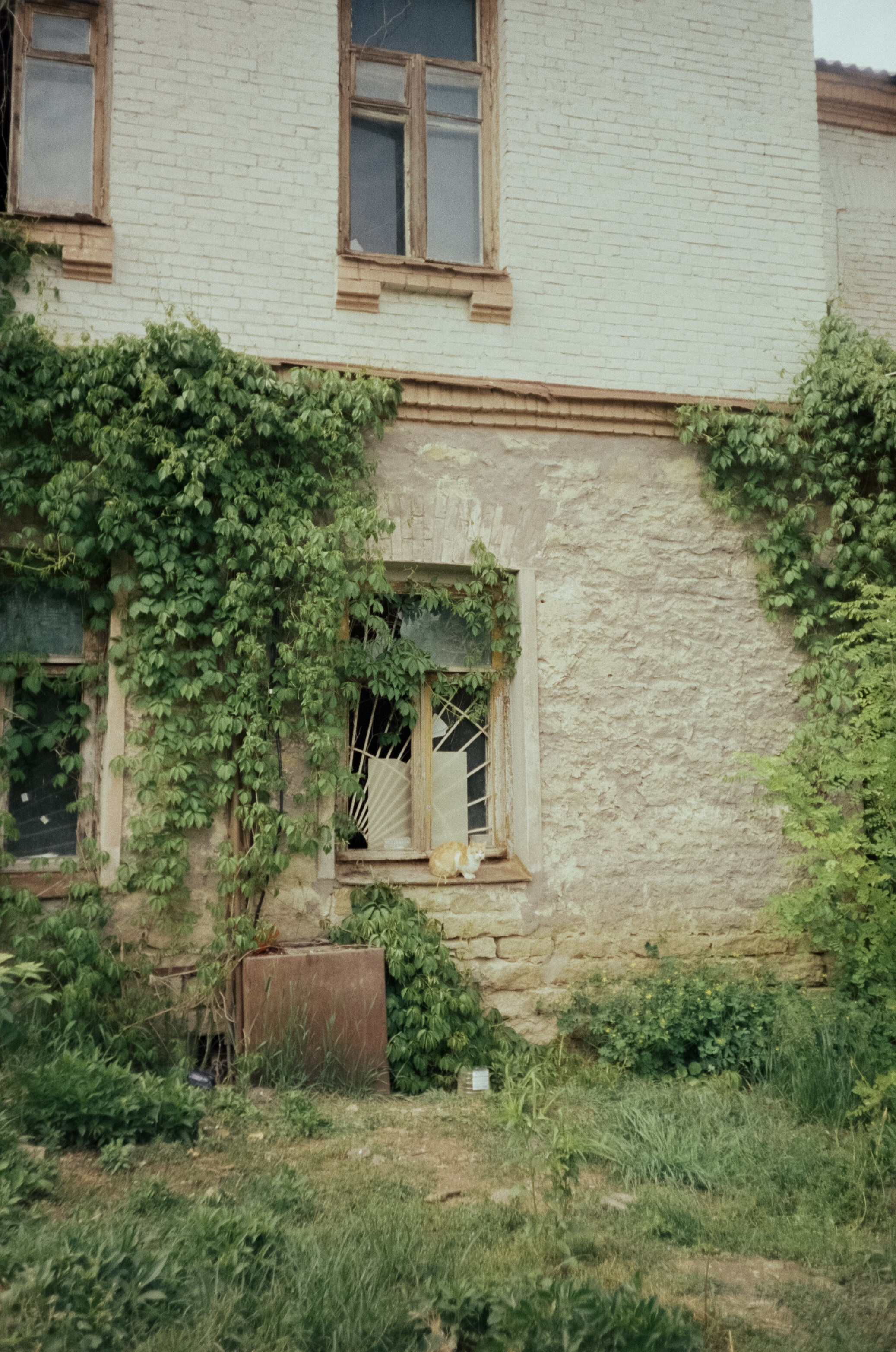 Стрит в Ессентуках. Дворики, дома и кот в окне. Фотограф-документалист Мария Осокина