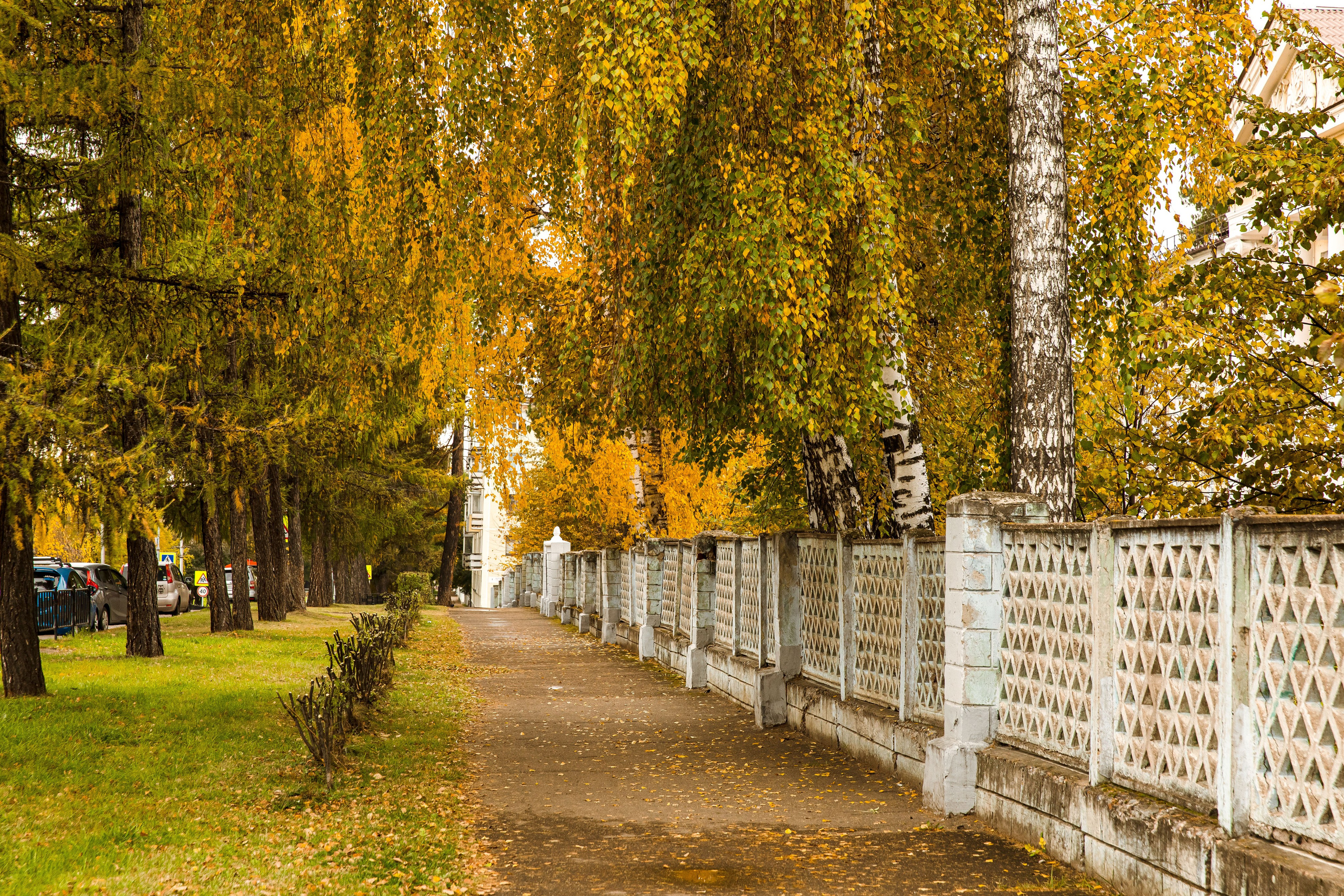 Осень в парке. Семейный и детский фотограф в Железногорске Саламахо Ольга