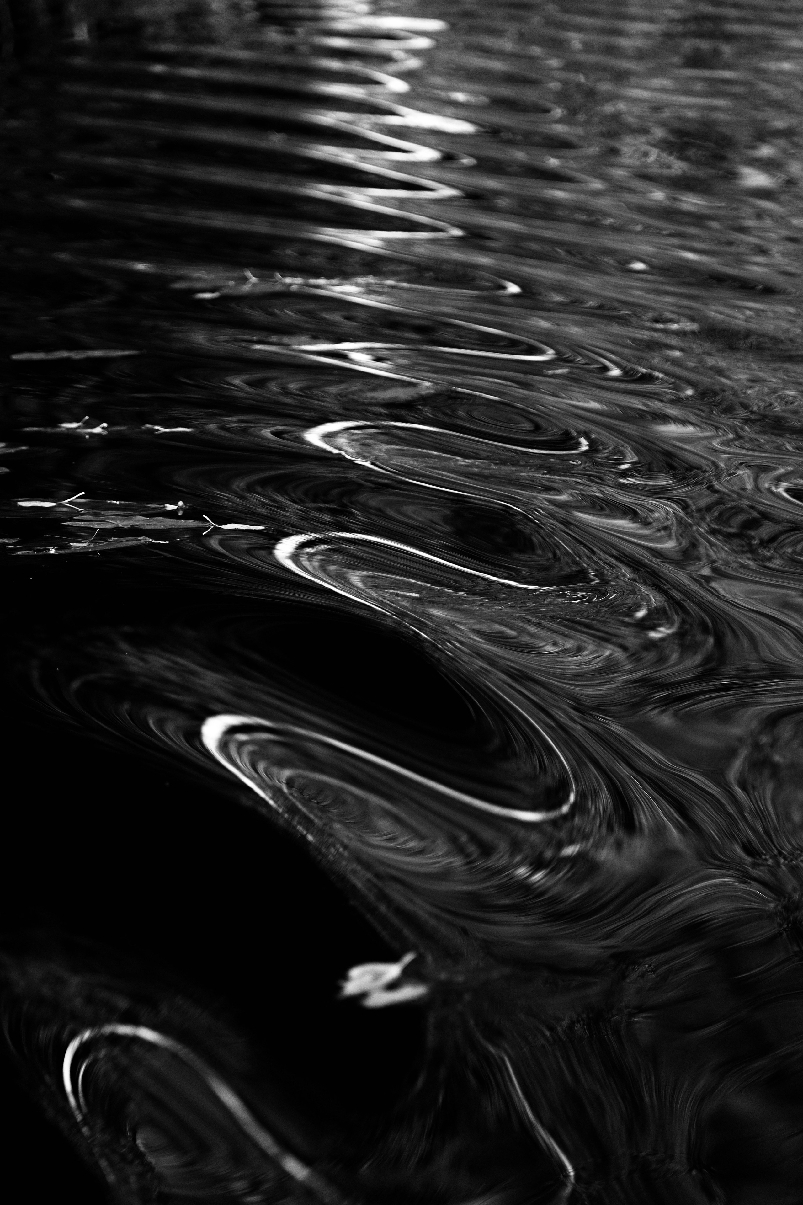 Русский север 27.09.25 — 05.10.25. Фотострелка