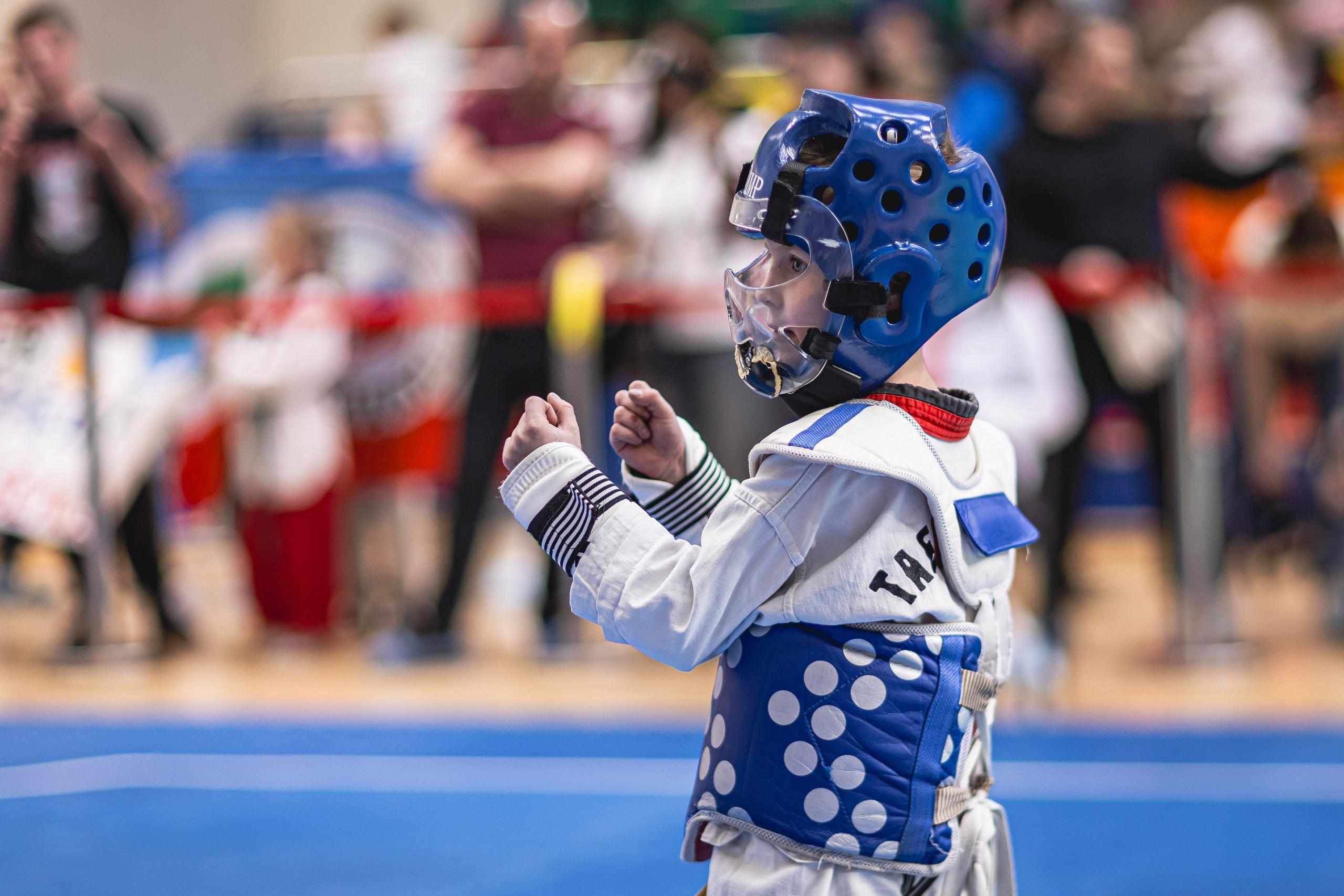 Турнир ВДЮФСОО «ФЕДЕРАЦИЯ ДЕТСКОГО ТХЭКВОНДО РОССИИ» и МОО СПКЕ «ЭРИДАН» по «СПОРТИВНОМУ БОЮ КЕРУГИ». Спортивный фотограф Максим Серегин