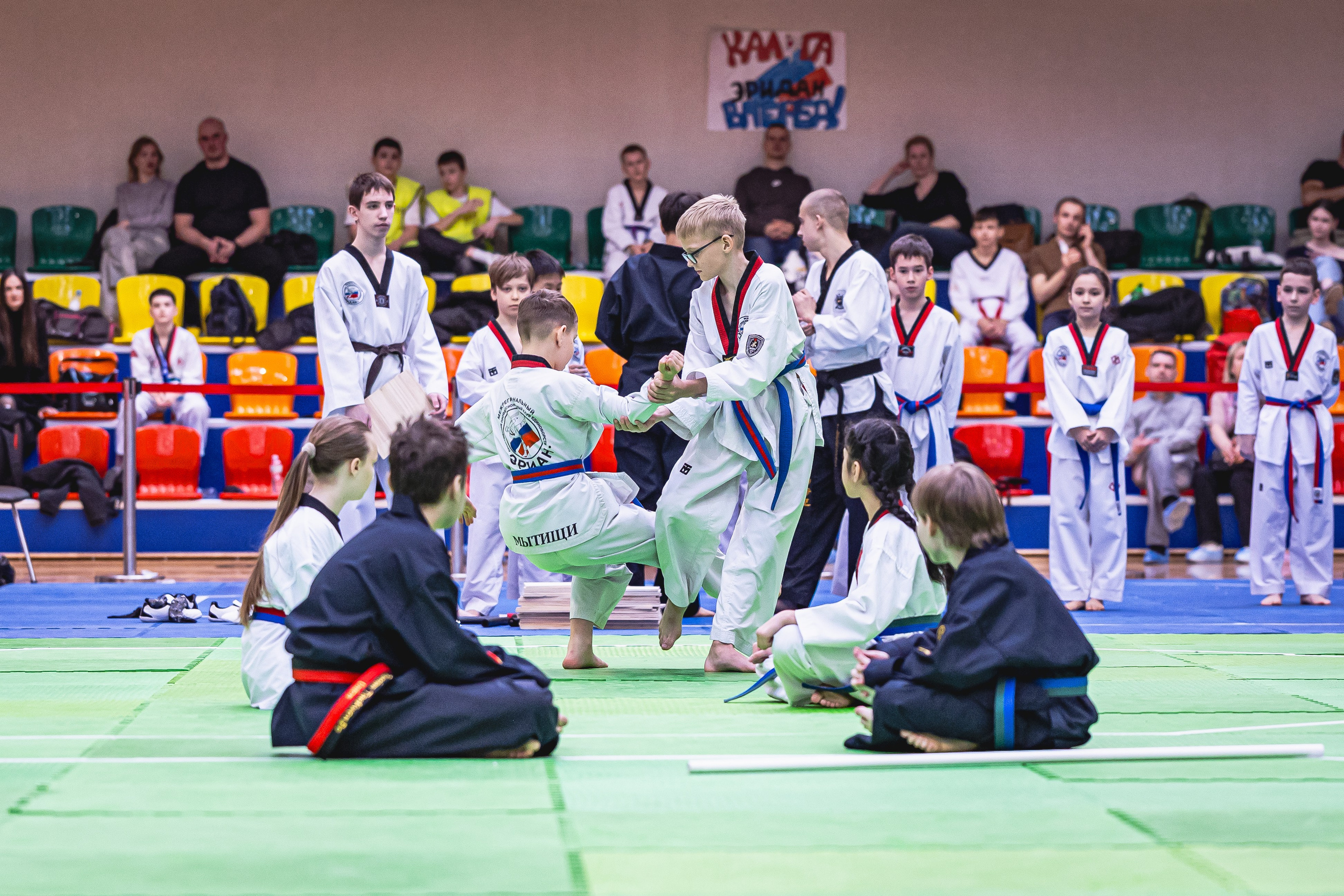 Турнир ВДЮФСОО «ФЕДЕРАЦИЯ ДЕТСКОГО ТХЭКВОНДО РОССИИ» и МОО СПКЕ «ЭРИДАН» по «СПОРТИВНОМУ БОЮ КЕРУГИ». Спортивный фотограф Максим Серегин