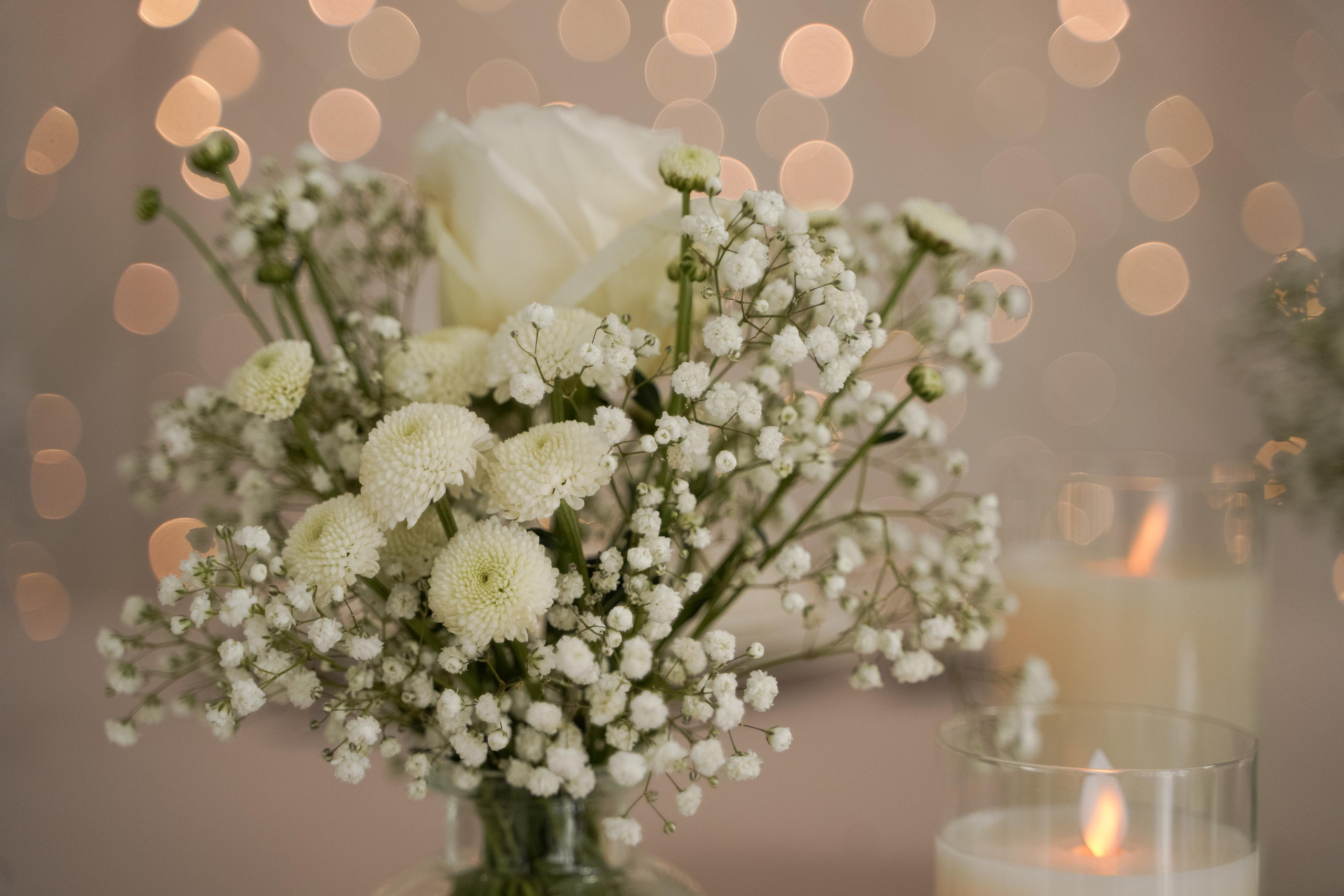 Софья и Станислав. Свадебный фотограф Марина Попова