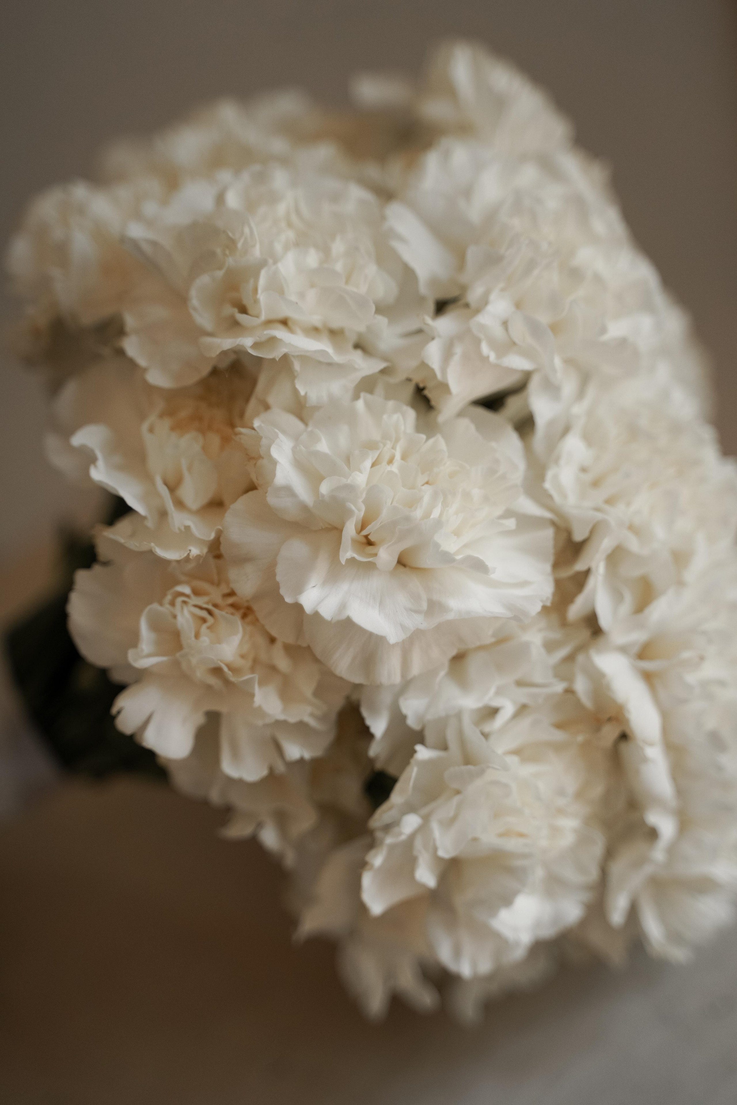 Ольга и Андрей. Свадебный фотограф Марина Попова