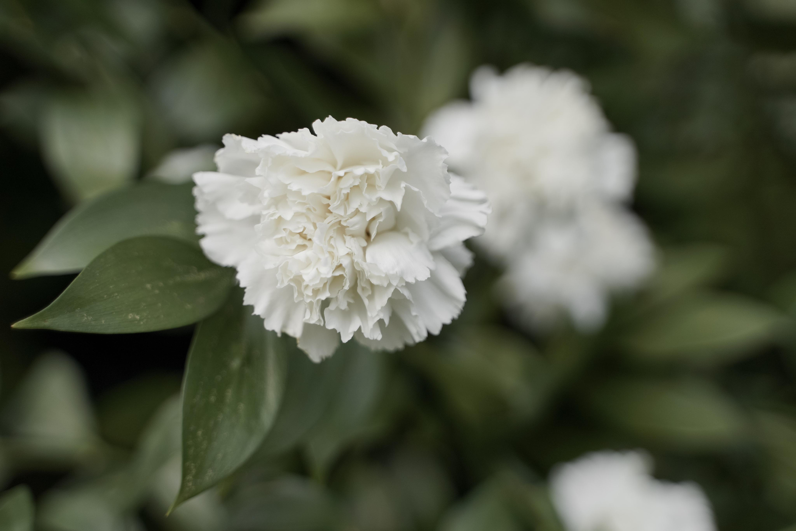 Ирина и Владислав. Свадебный фотограф Марина Попова