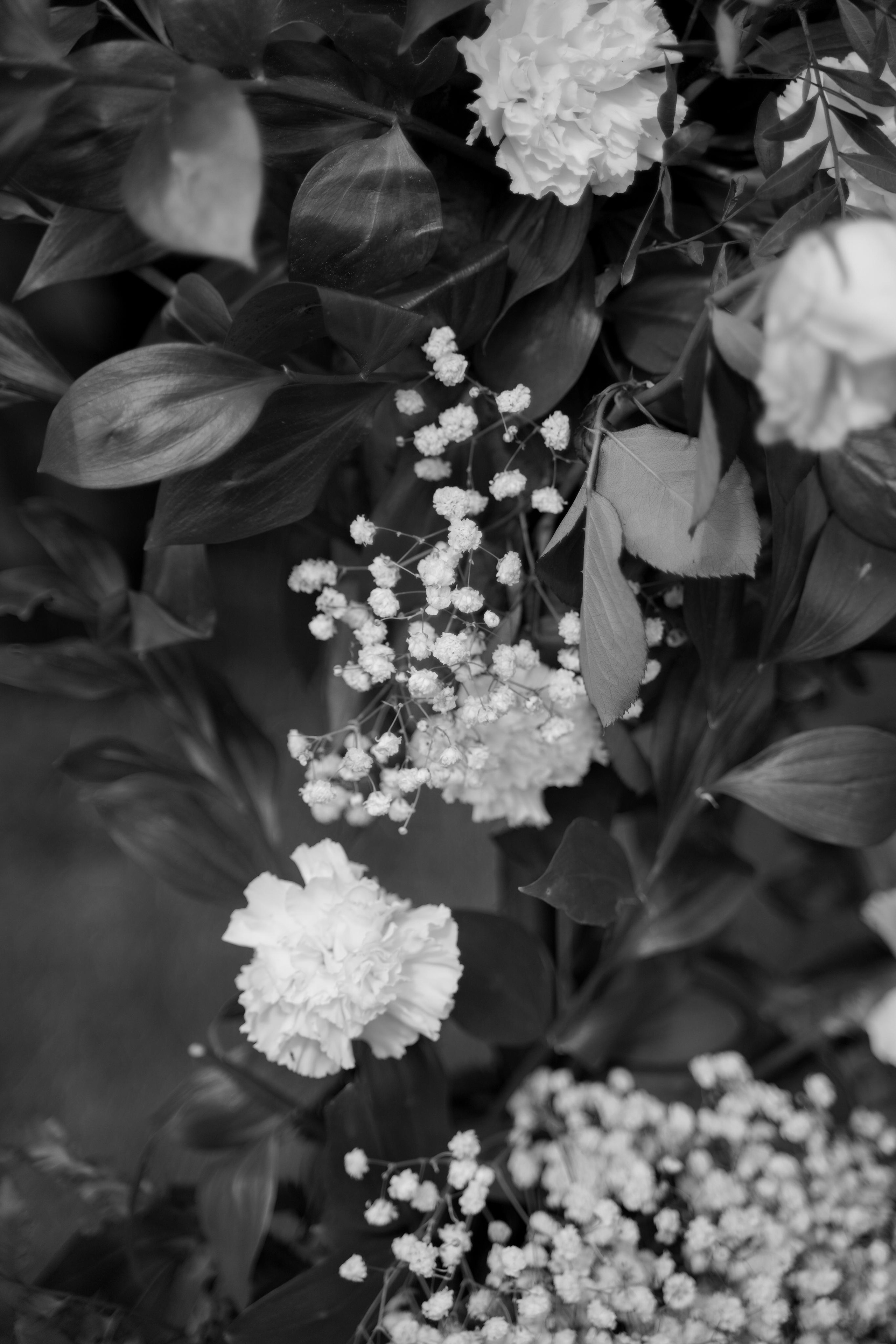 Ирина и Владислав. Свадебный фотограф Марина Попова