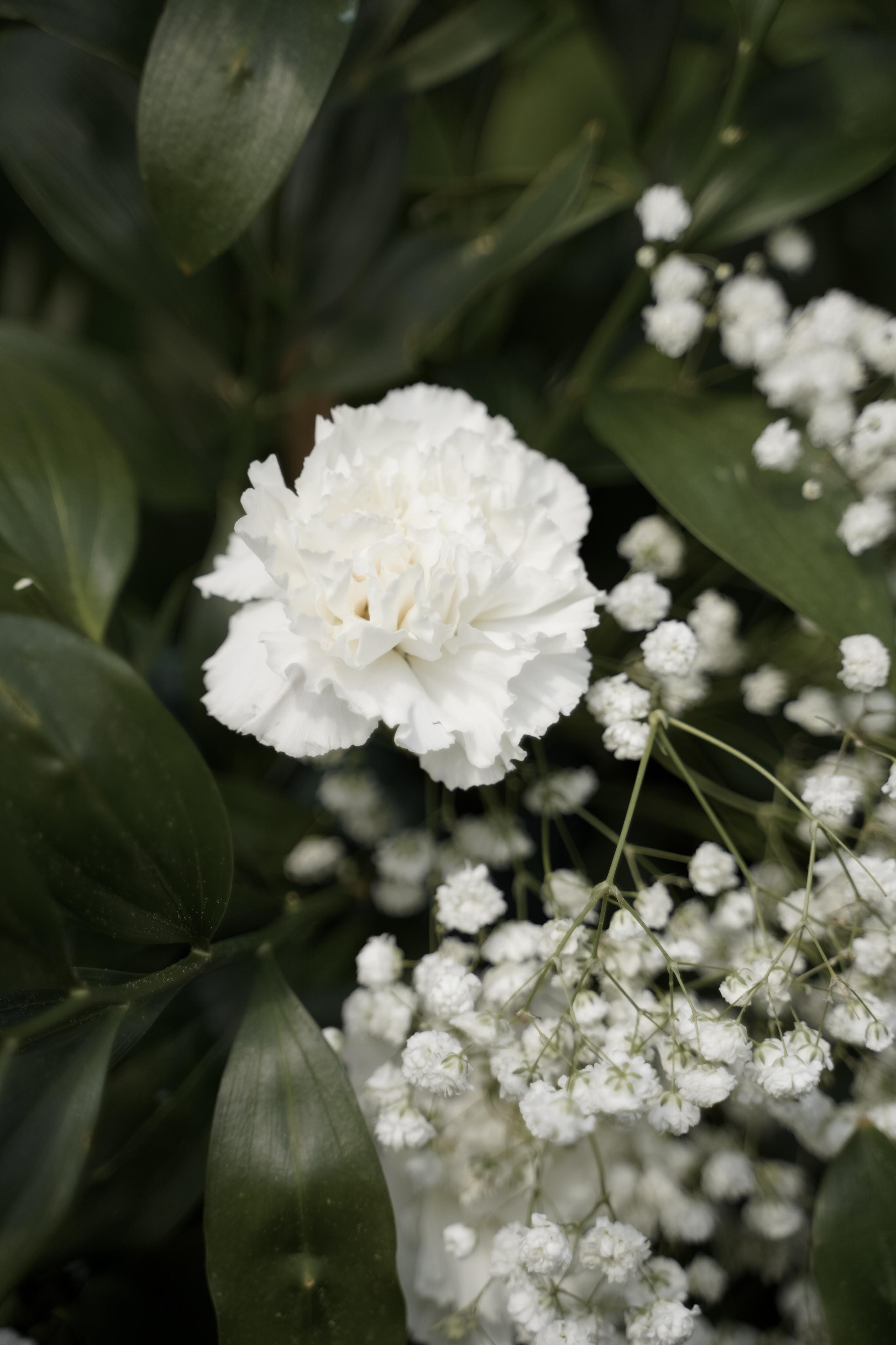 Ирина и Владислав. Свадебный фотограф Марина Попова