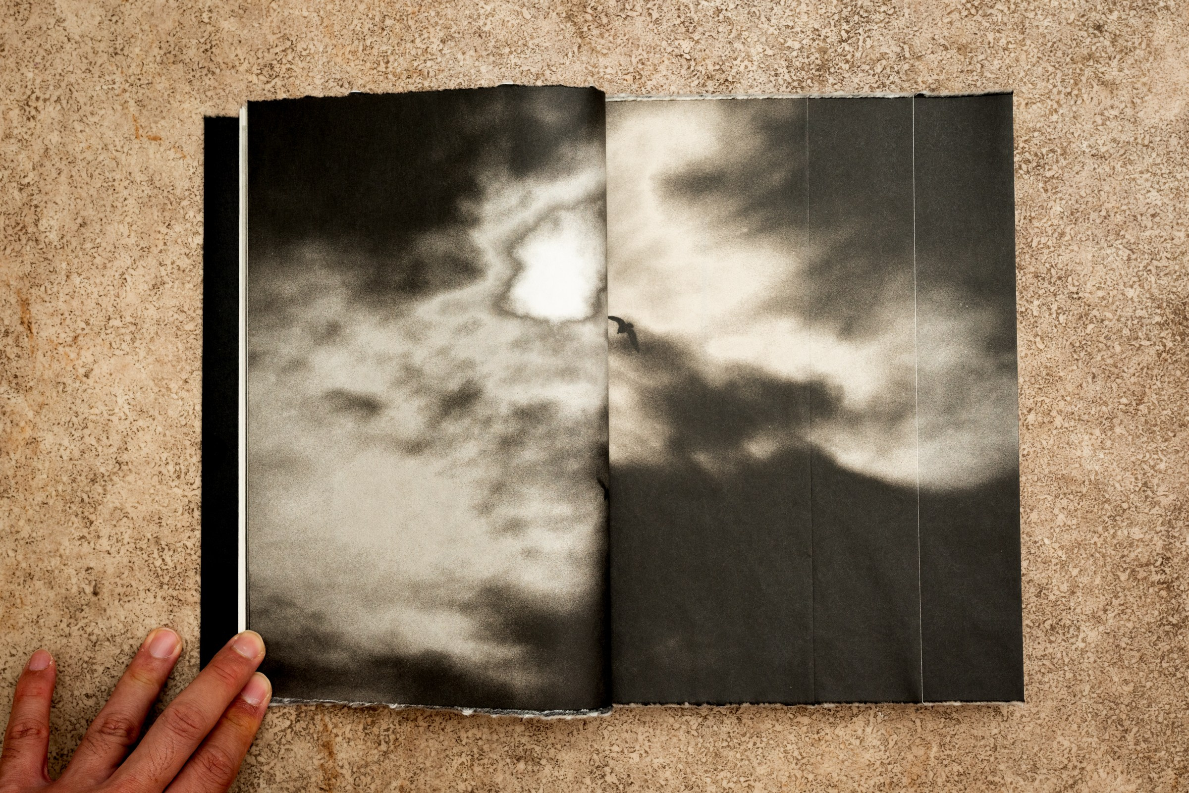 INTERVIEW WITH THE ARTIST: YOSHIKATSU FUJII. Самоорганизация Низина