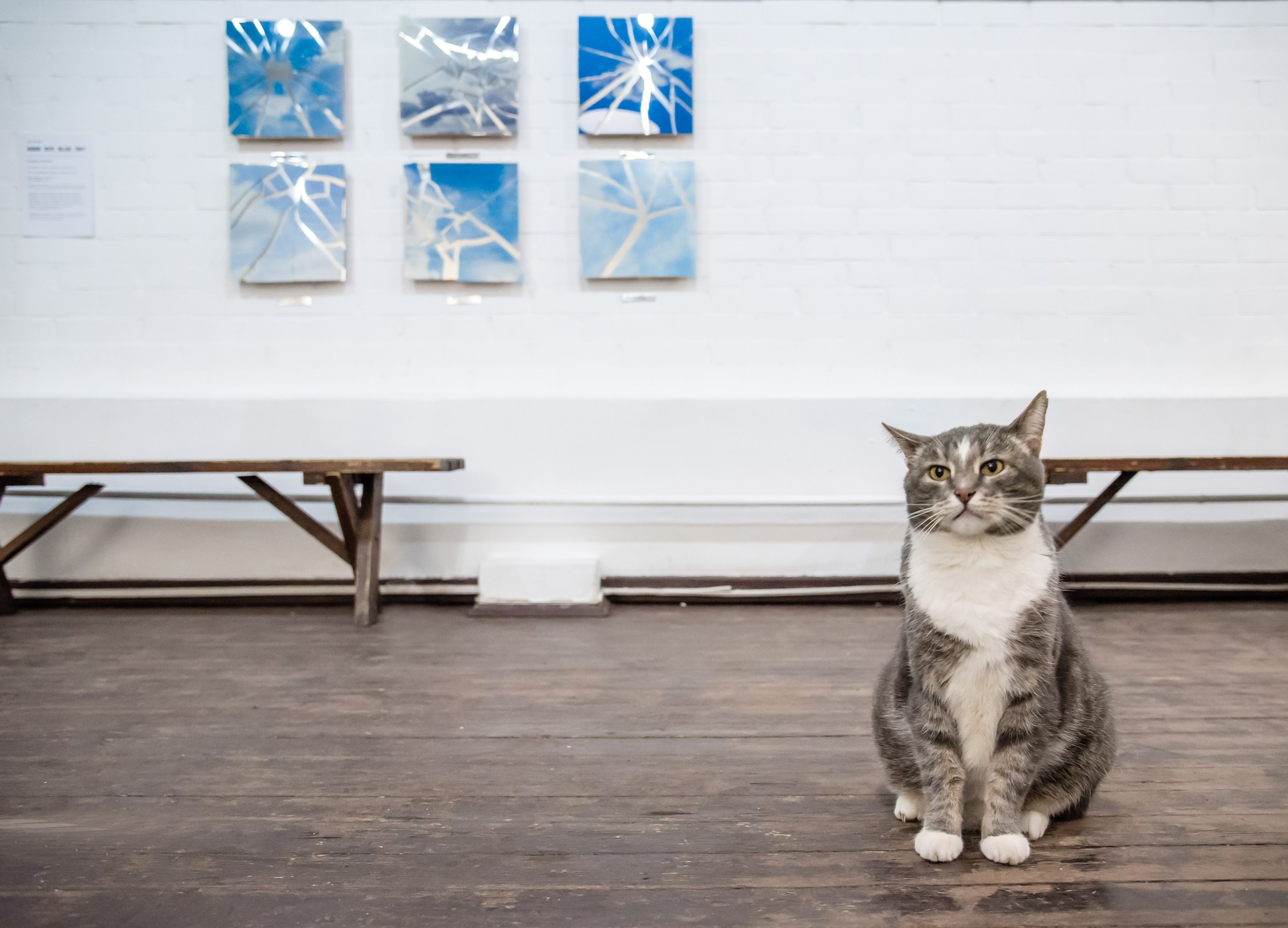 2025 Good Bye Blue Sky. Alya Segova