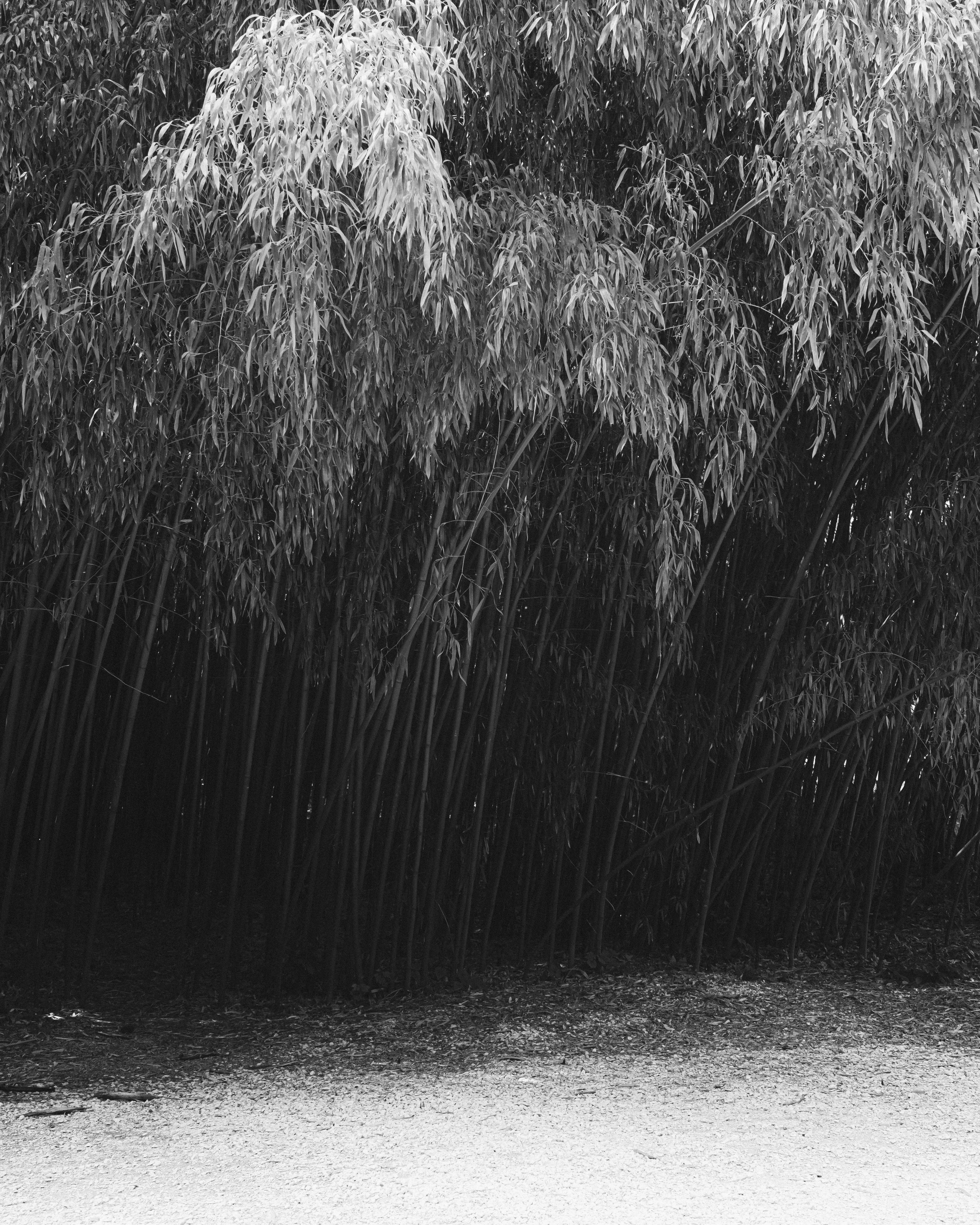 СЕРГЕЙ РОСАК | ФОТОГРАФ & ВИДЕОГРАФ • СОЧИ