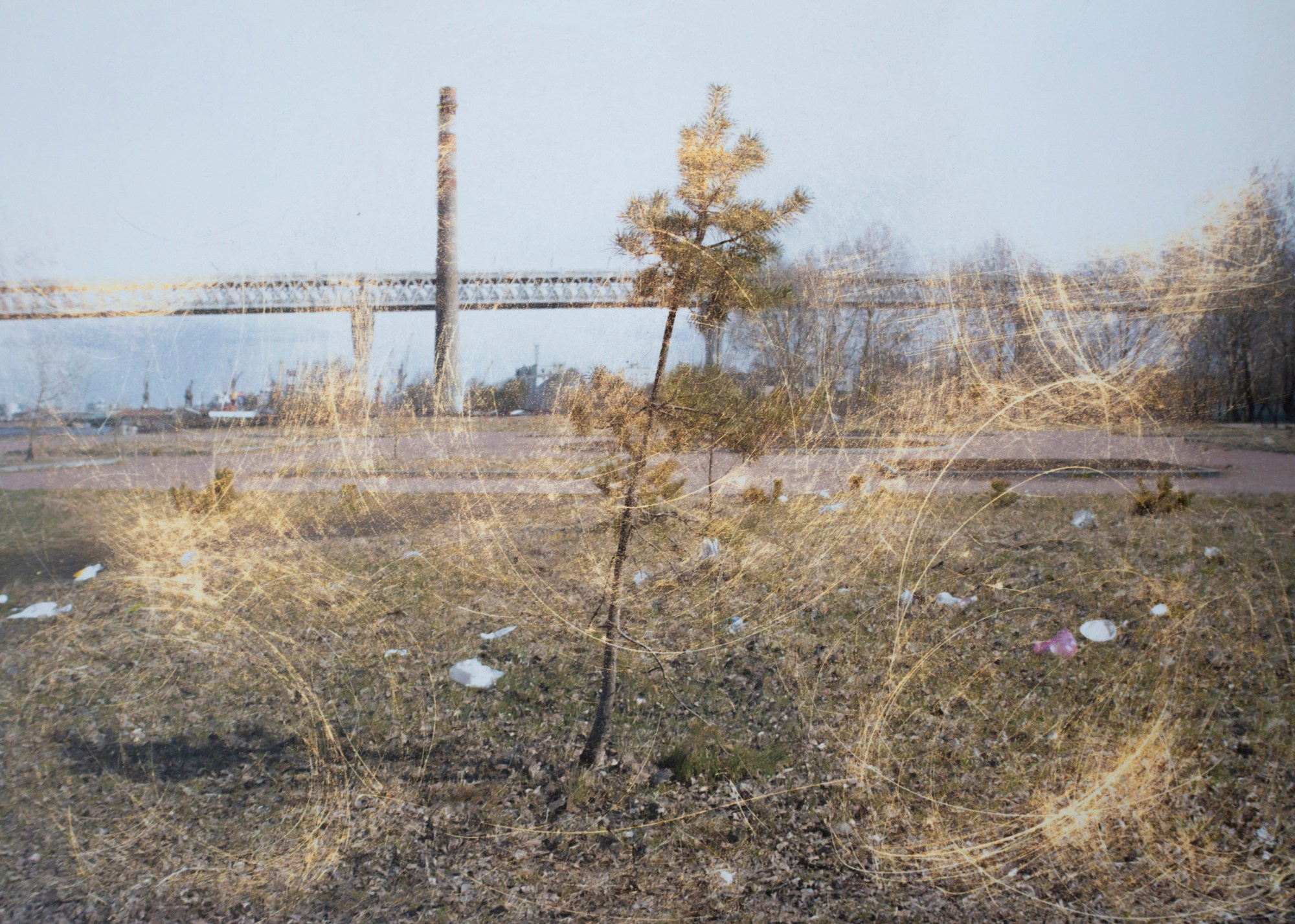 «Кошачий остров говорит со мной» Ольга Дякина (Санкт-Петербург). Выставочный проект «Опыт касаний» (офлайн и онлайн) Калининград