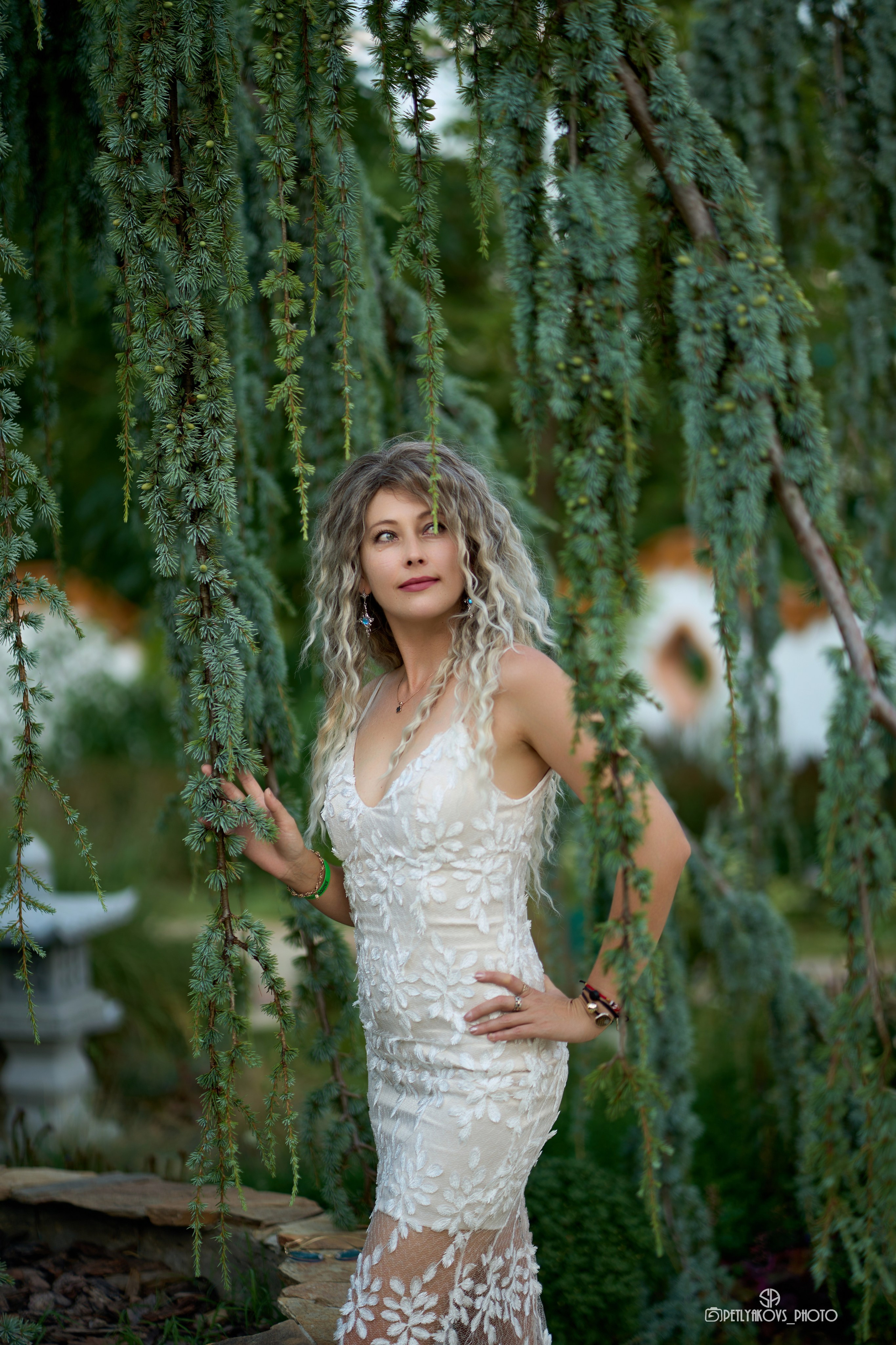 «Золотой Дракон». Фотограф, видеограф Пятигорск, Ставрополь, Ессентуки, Petlyakovs_photo