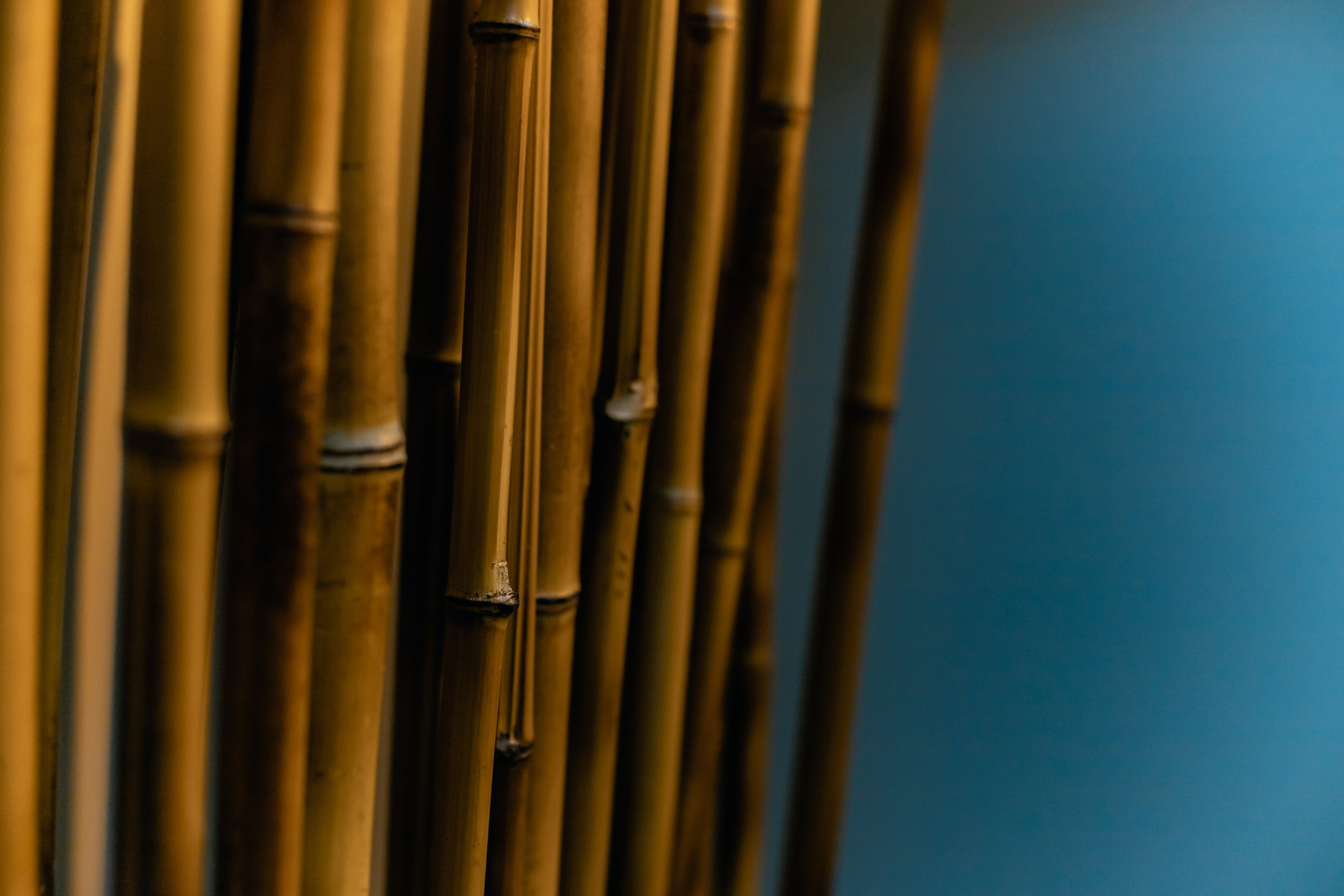 Предметная фотосъёмка. Профессиональный фотограф в Москве и МО