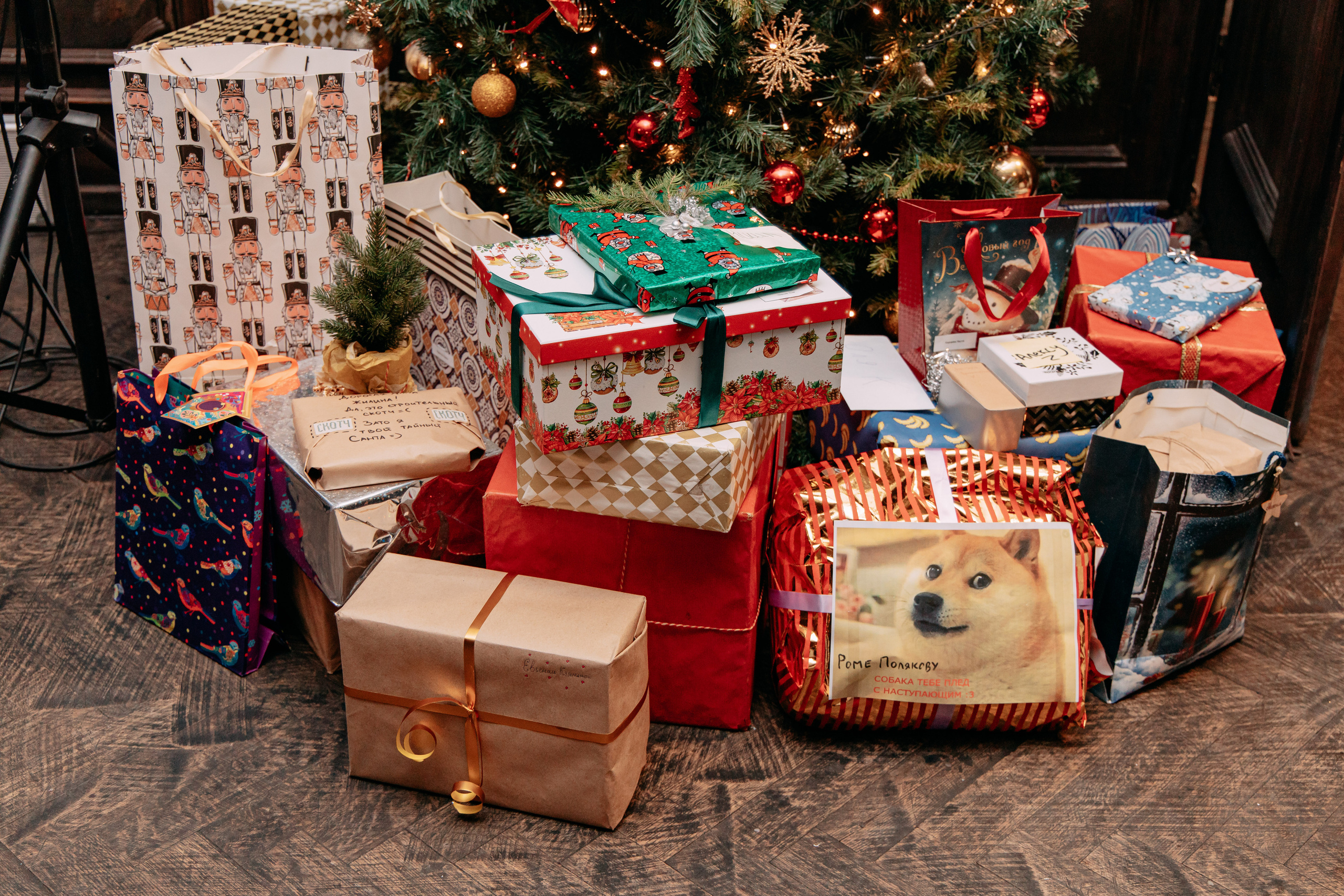 Фото и видео съемка. Андрей Ионов