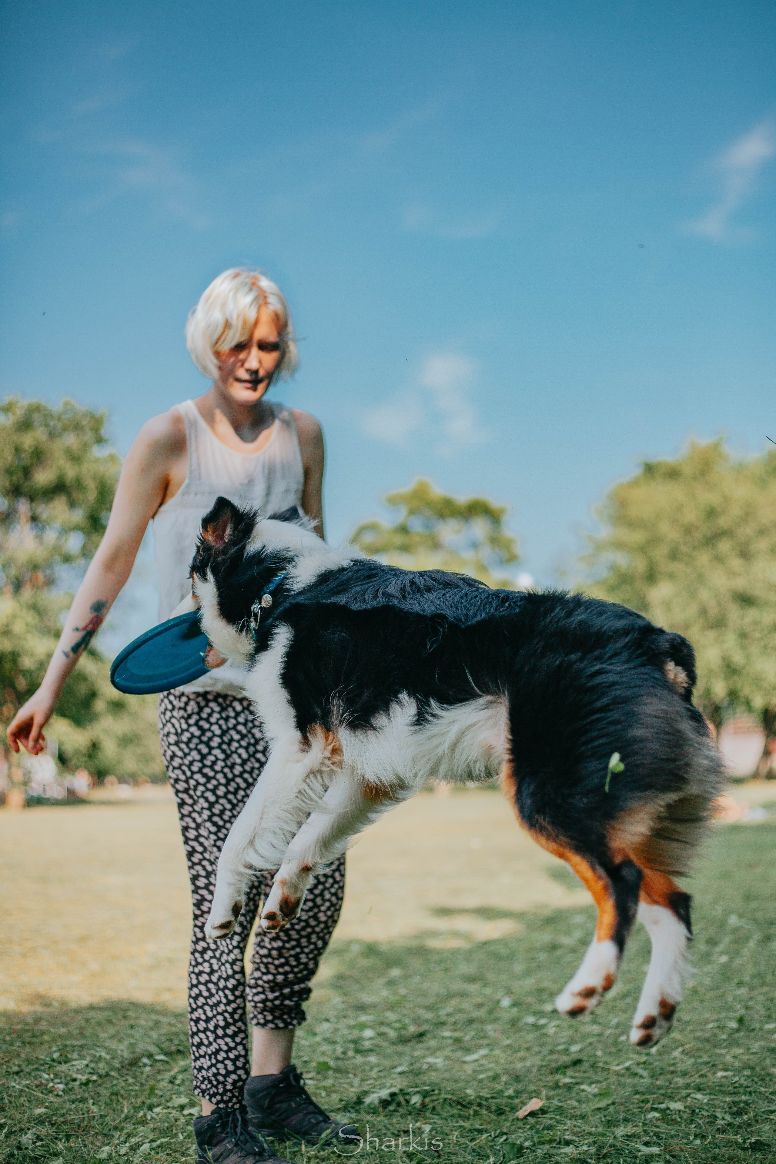 О нас. BLGKV питомник собак