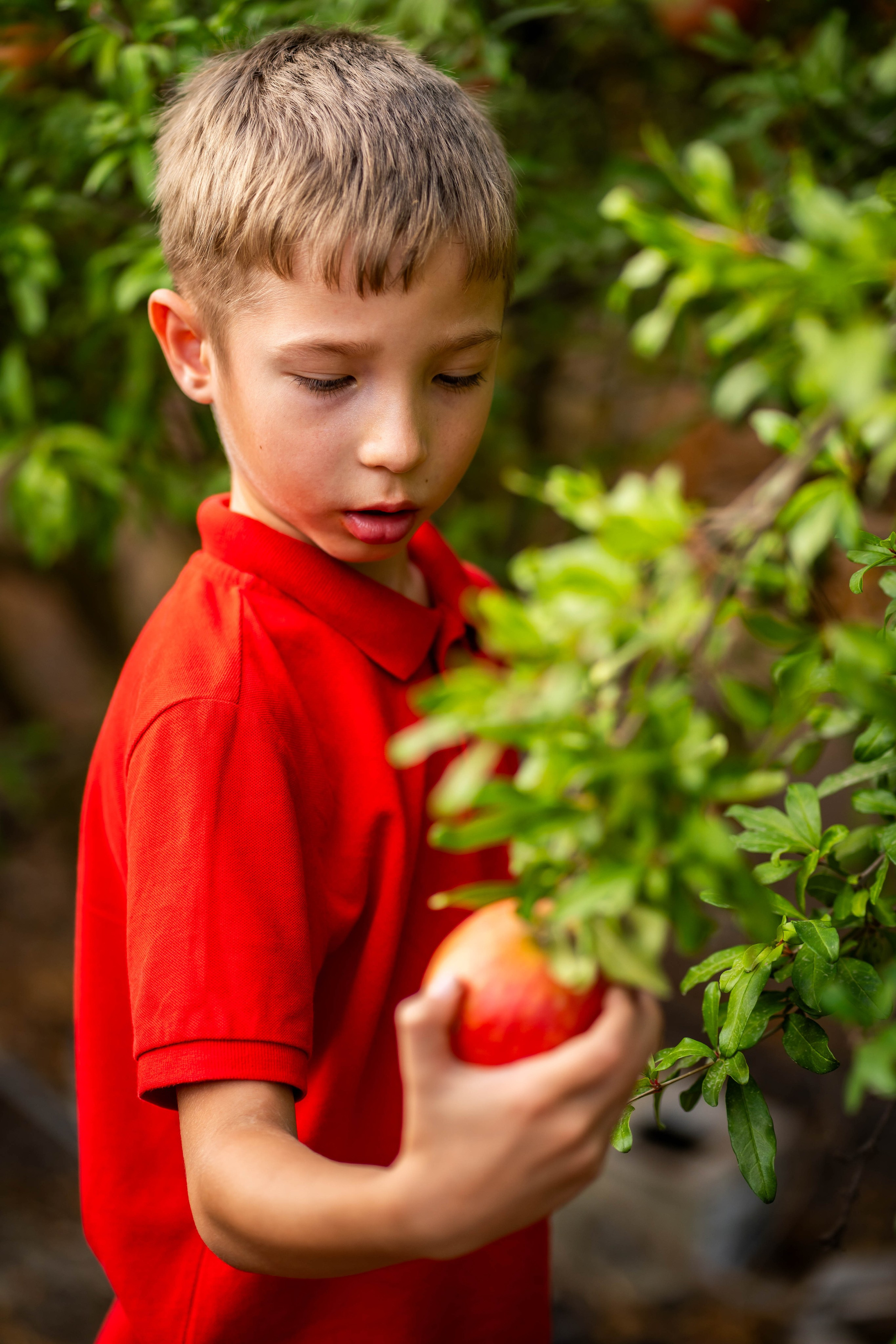Гранатовый сад. Семейный и детский фотограф в Израиле и Москве Дорошок Надя