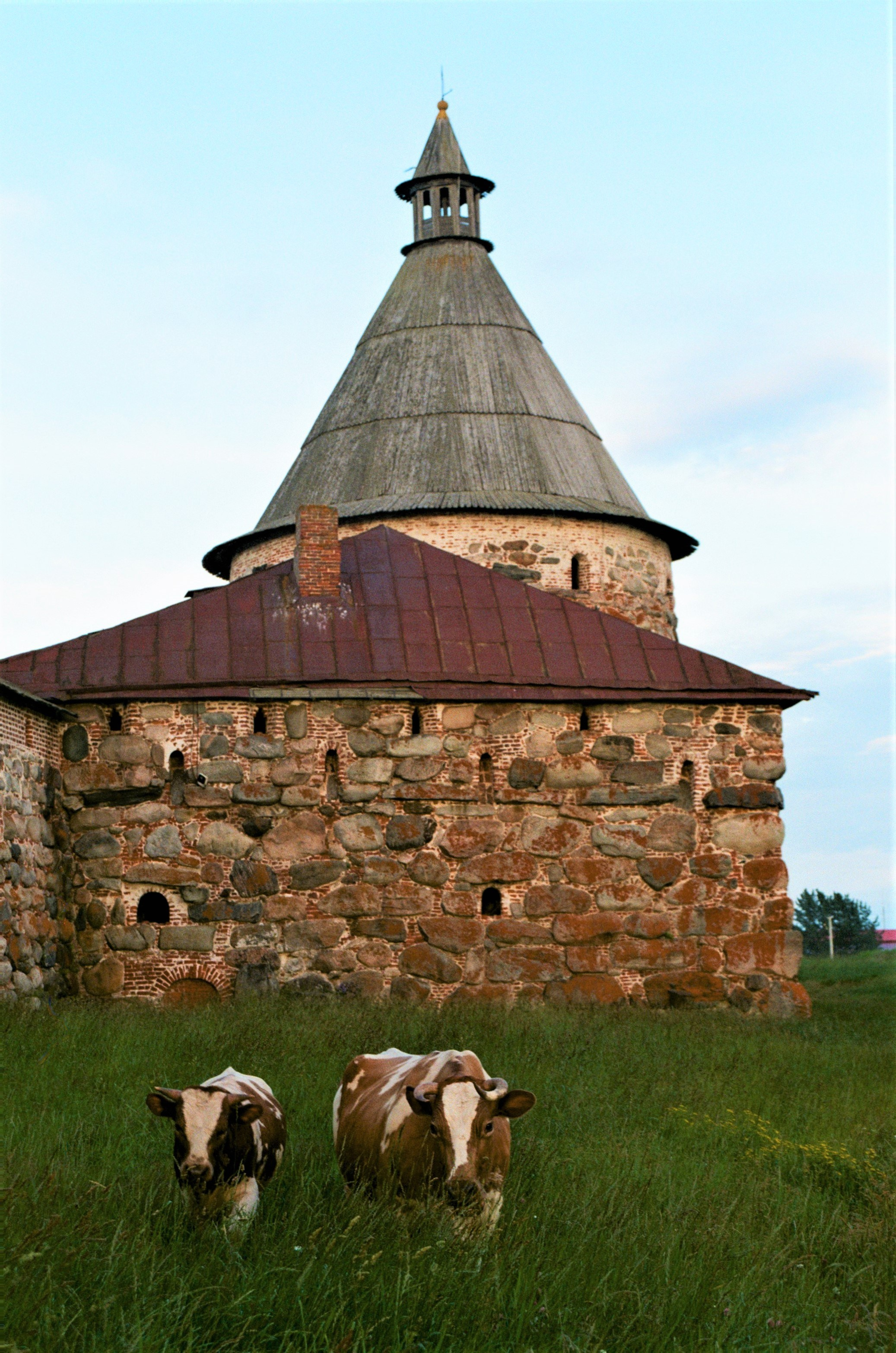 Автор: Юлия Гаркушенко